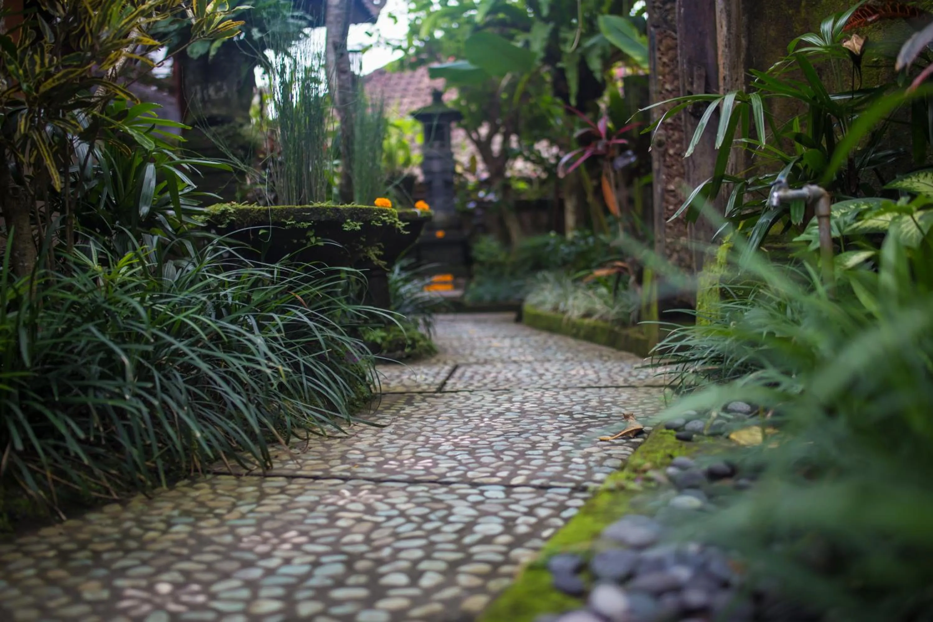 Property building in Pondok Permata Homestay