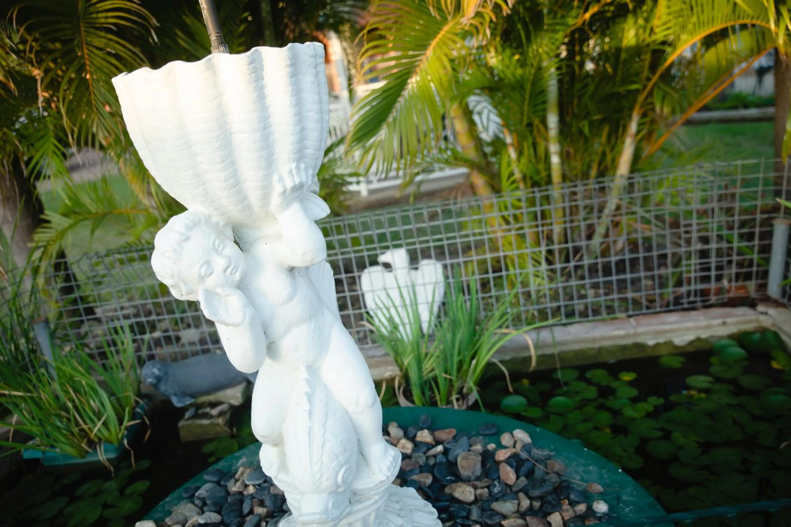 Garden in Castle Motor Lodge