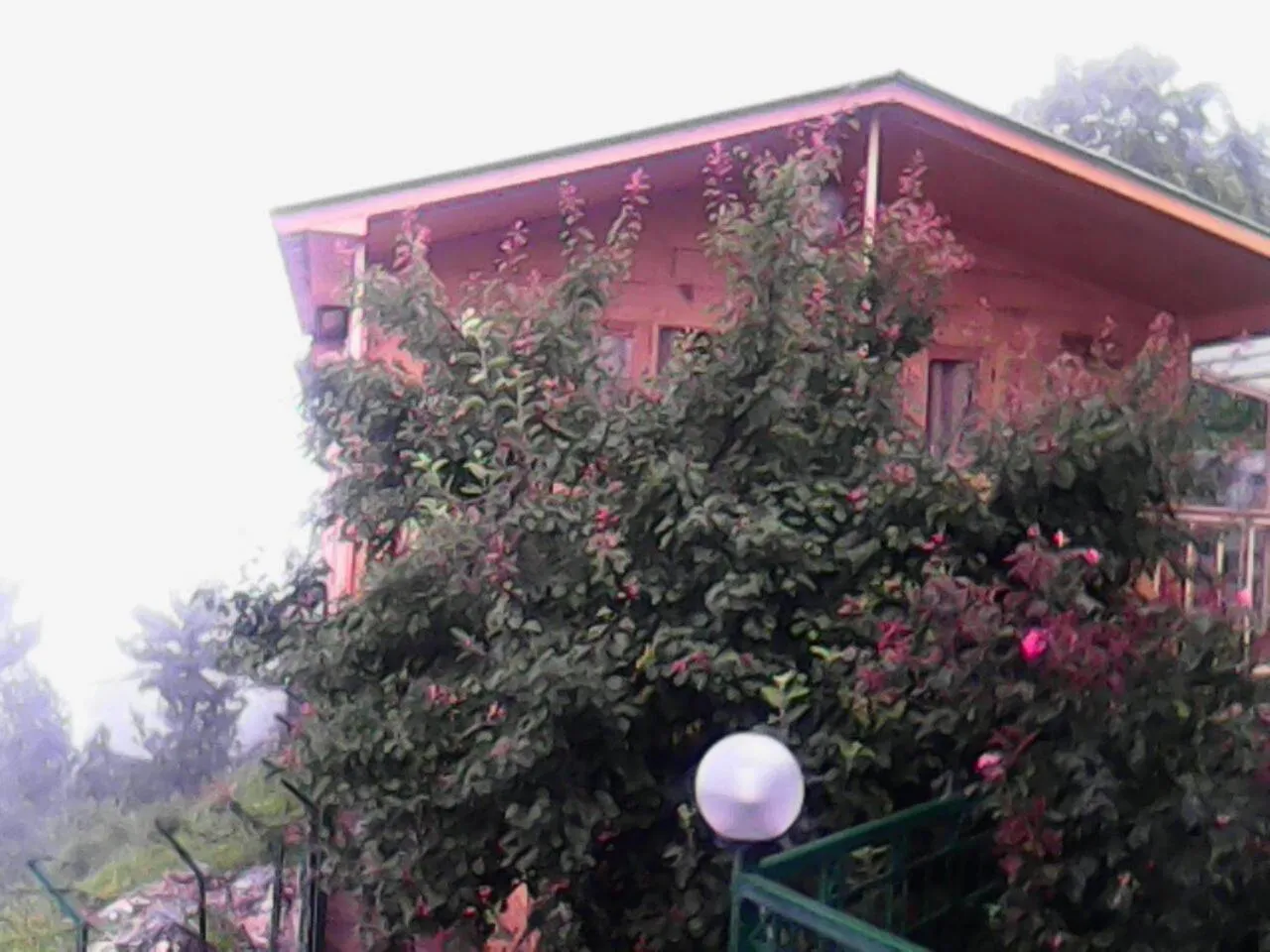 Day in Snow King Retreat - The Heaven