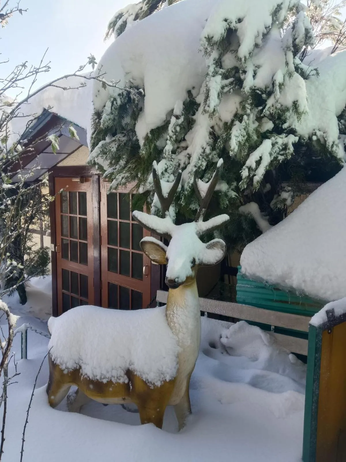 View (from property/room) in Snow King Retreat - The Heaven