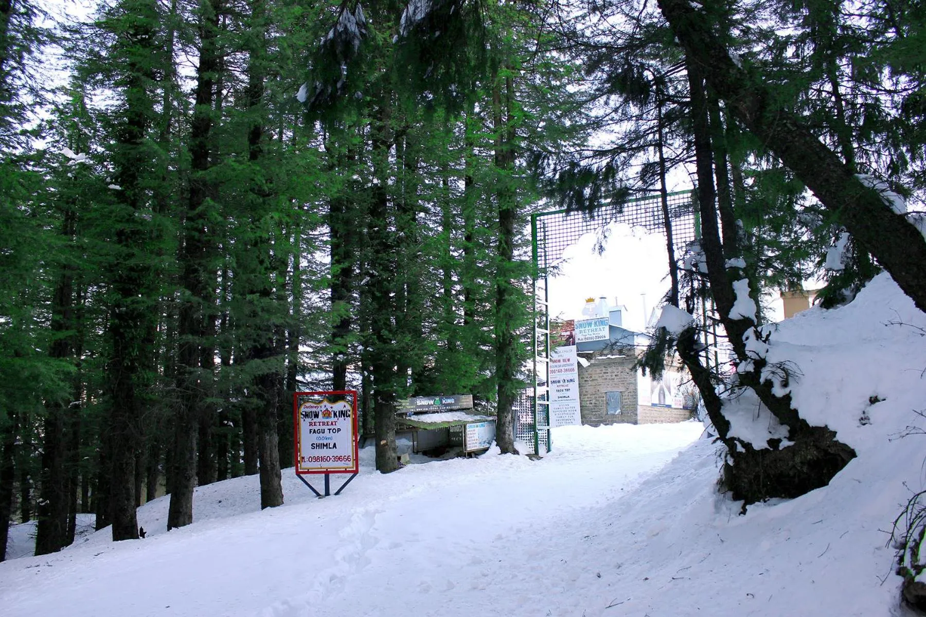 View (from property/room) in Snow King Retreat - The Heaven