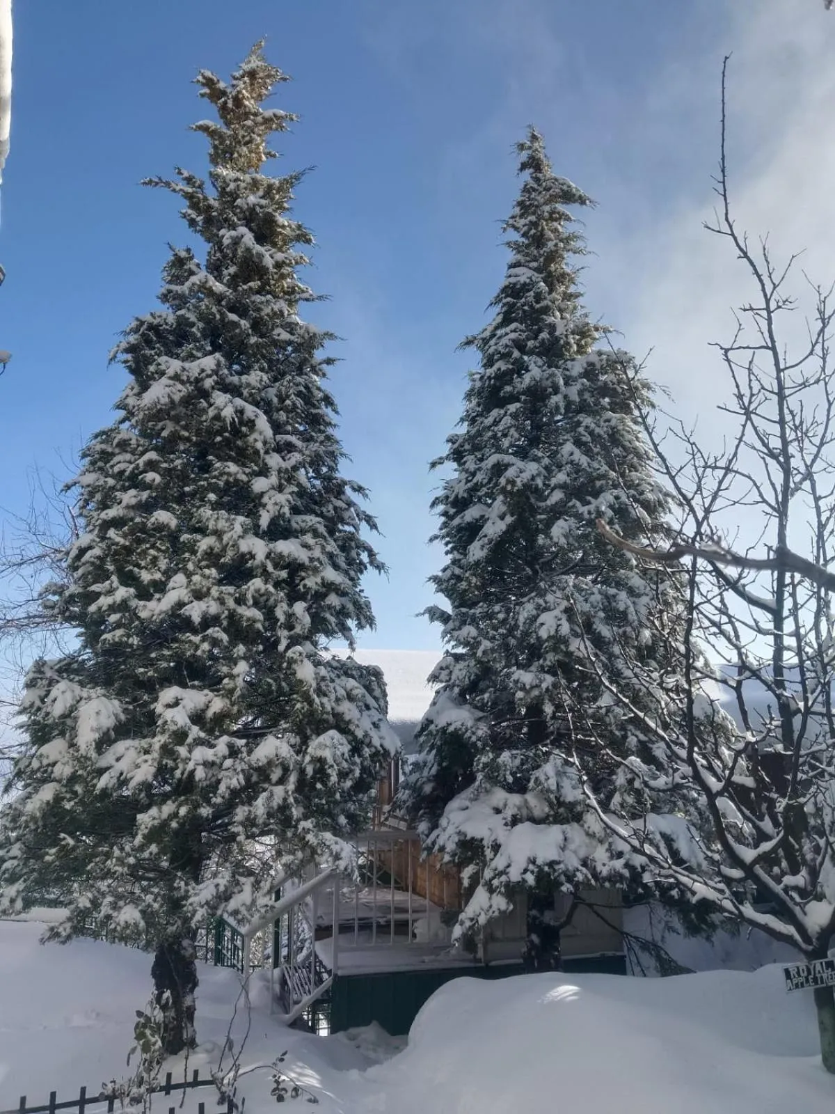 View (from property/room) in Snow King Retreat - The Heaven