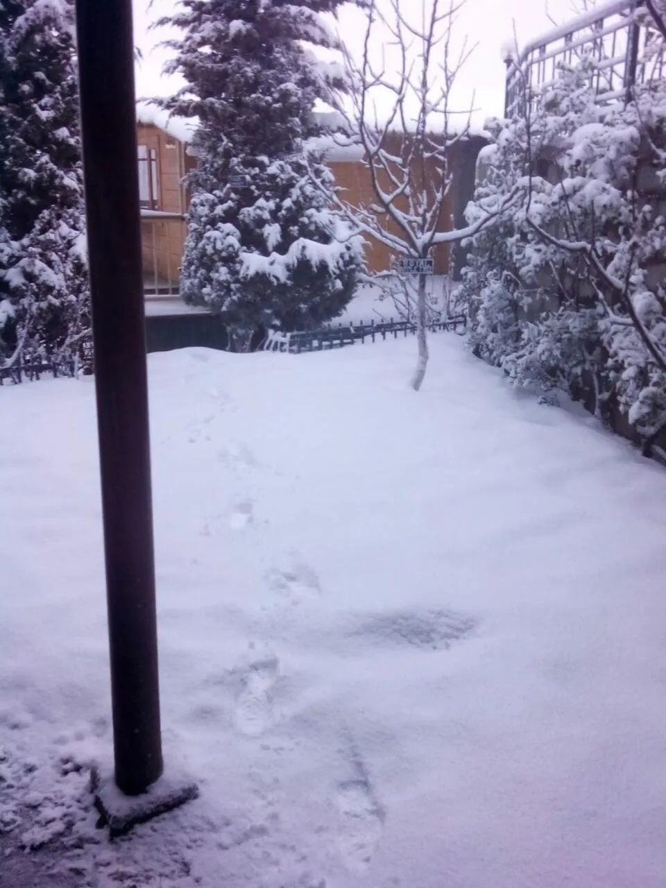 Day in Snow King Retreat - The Heaven