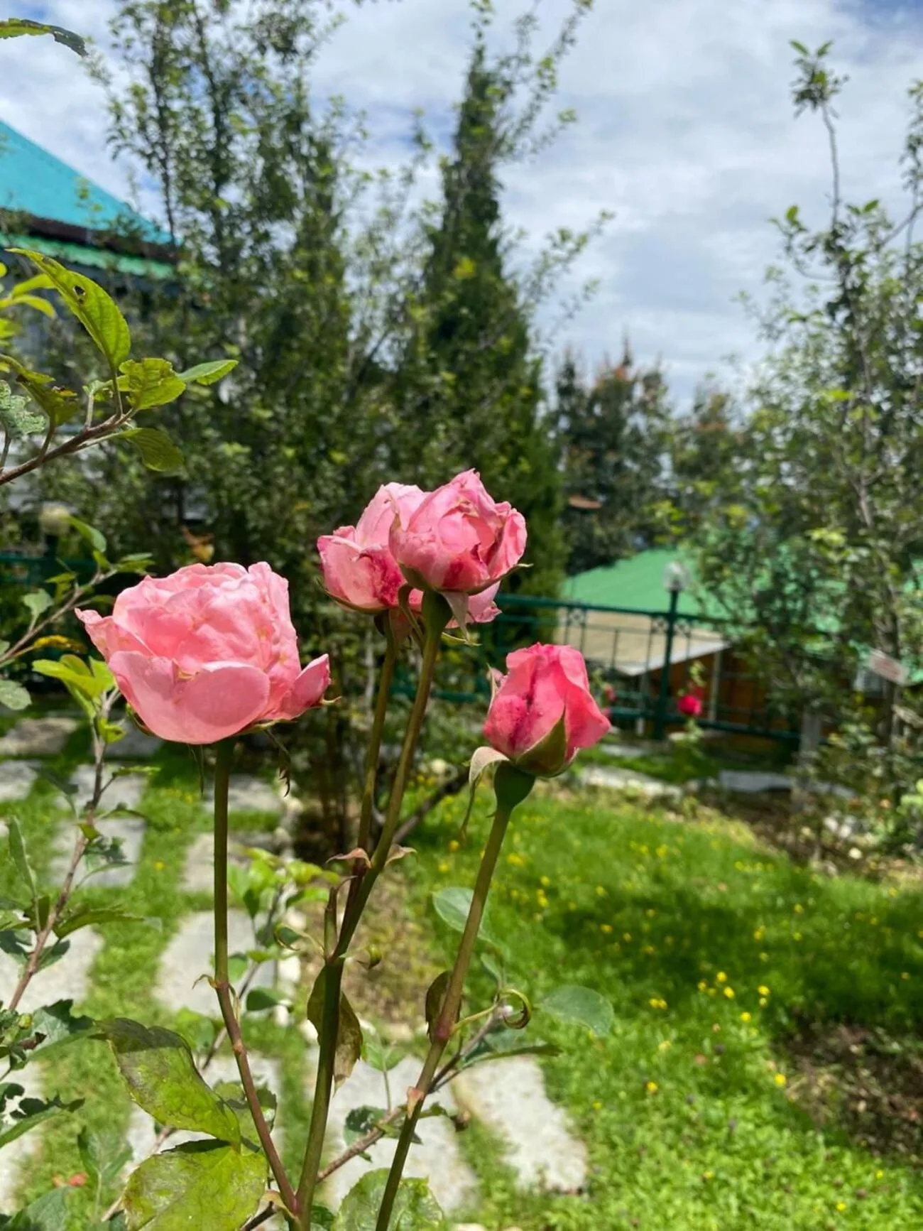 Garden view in Snow King Retreat - The Heaven