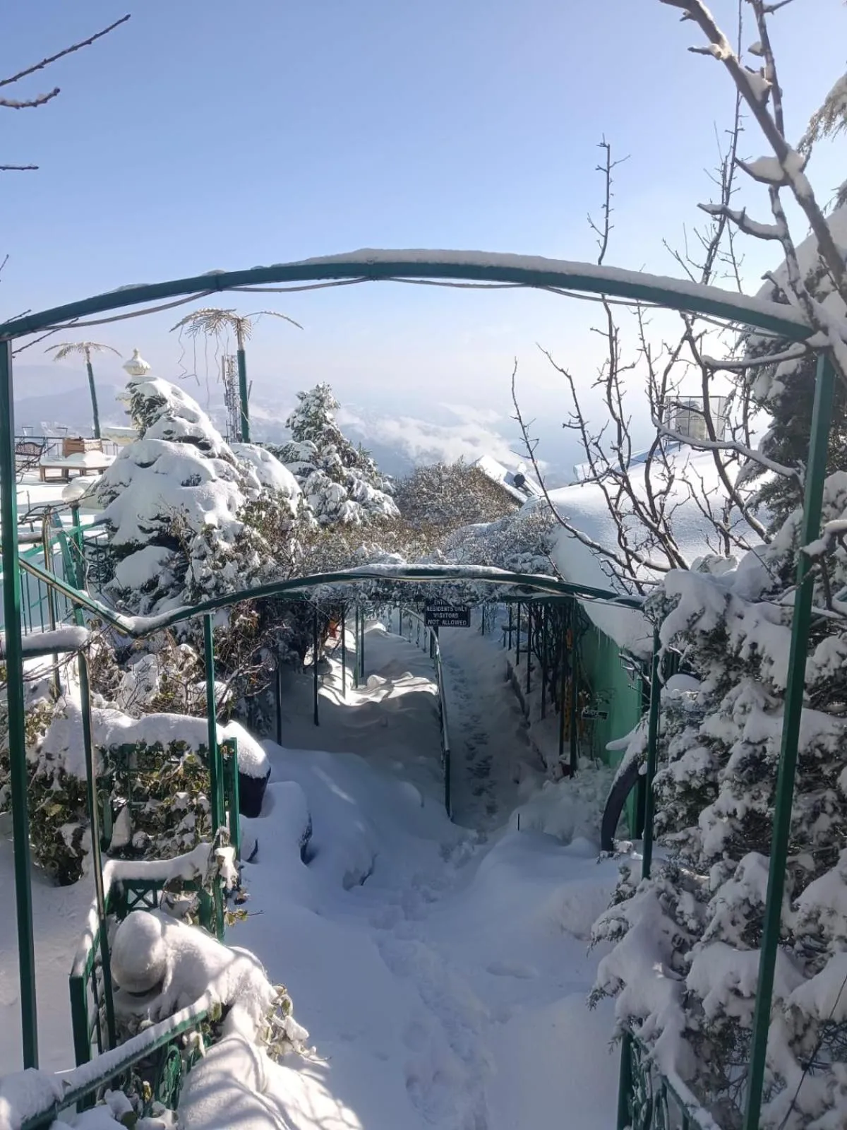 View (from property/room) in Snow King Retreat - The Heaven