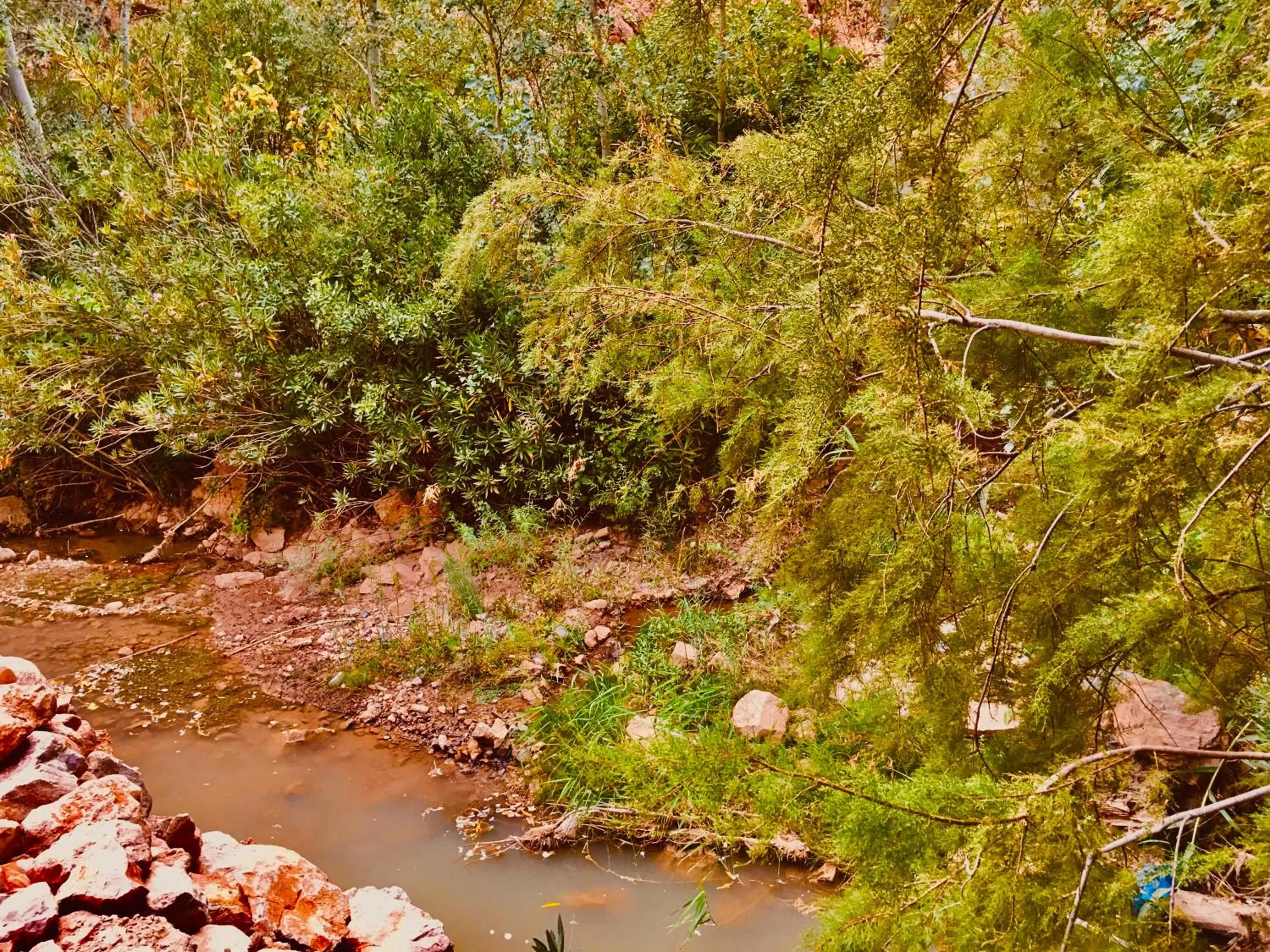 Natural landscape in Hôtel panoramique de la vallée