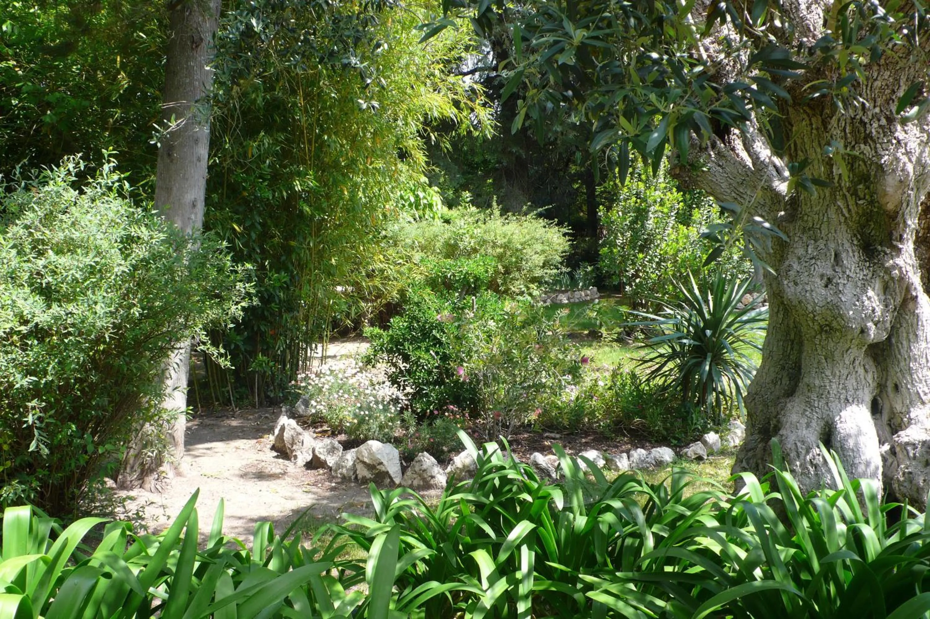 Garden in Casa Da Avo Genoveva