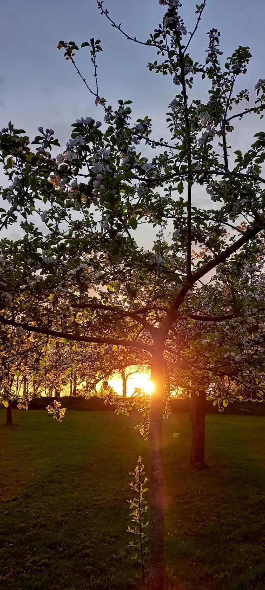 Château de Cleuville
