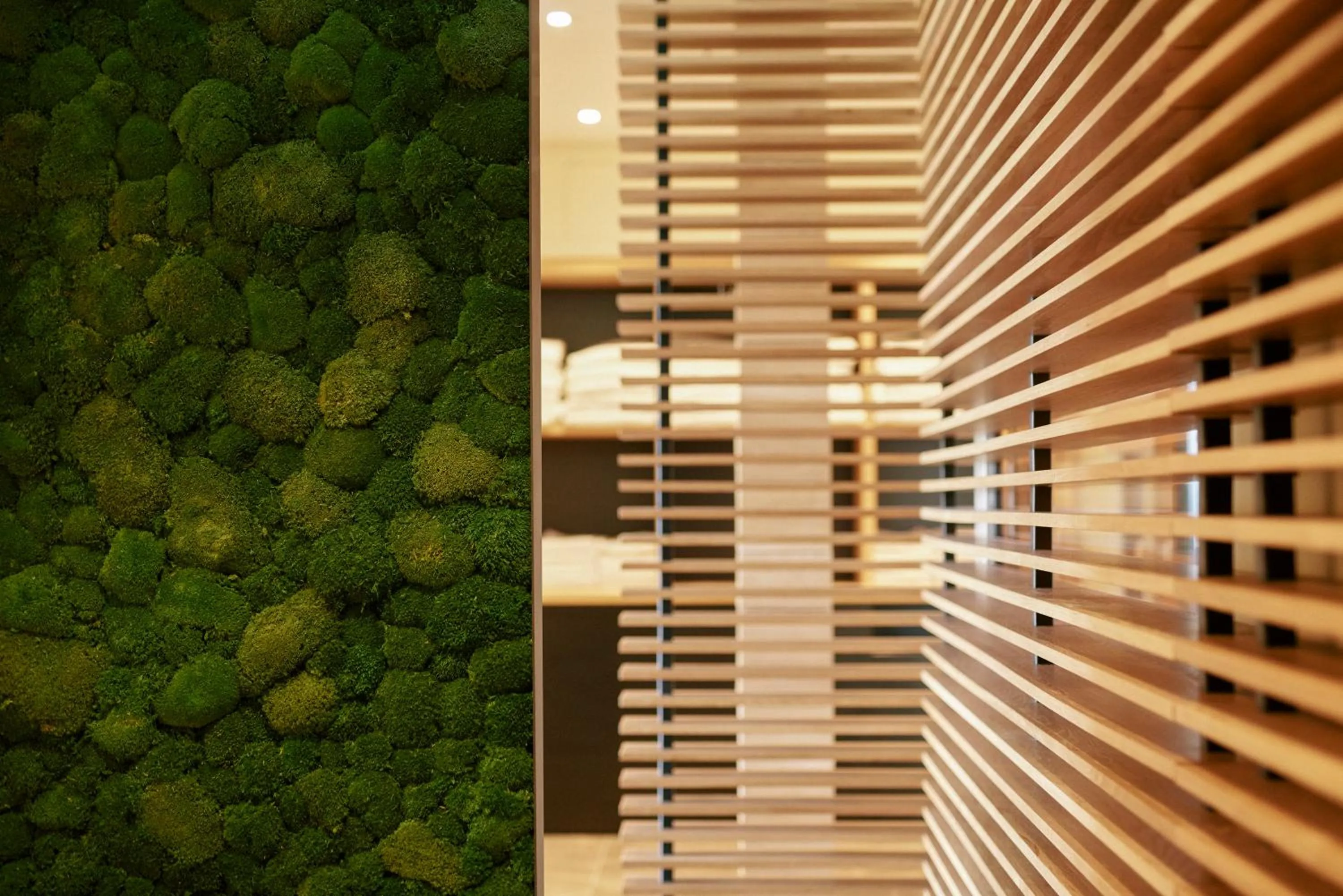 Fitness centre/facilities in FETZ DAS LORELEY HOTEL