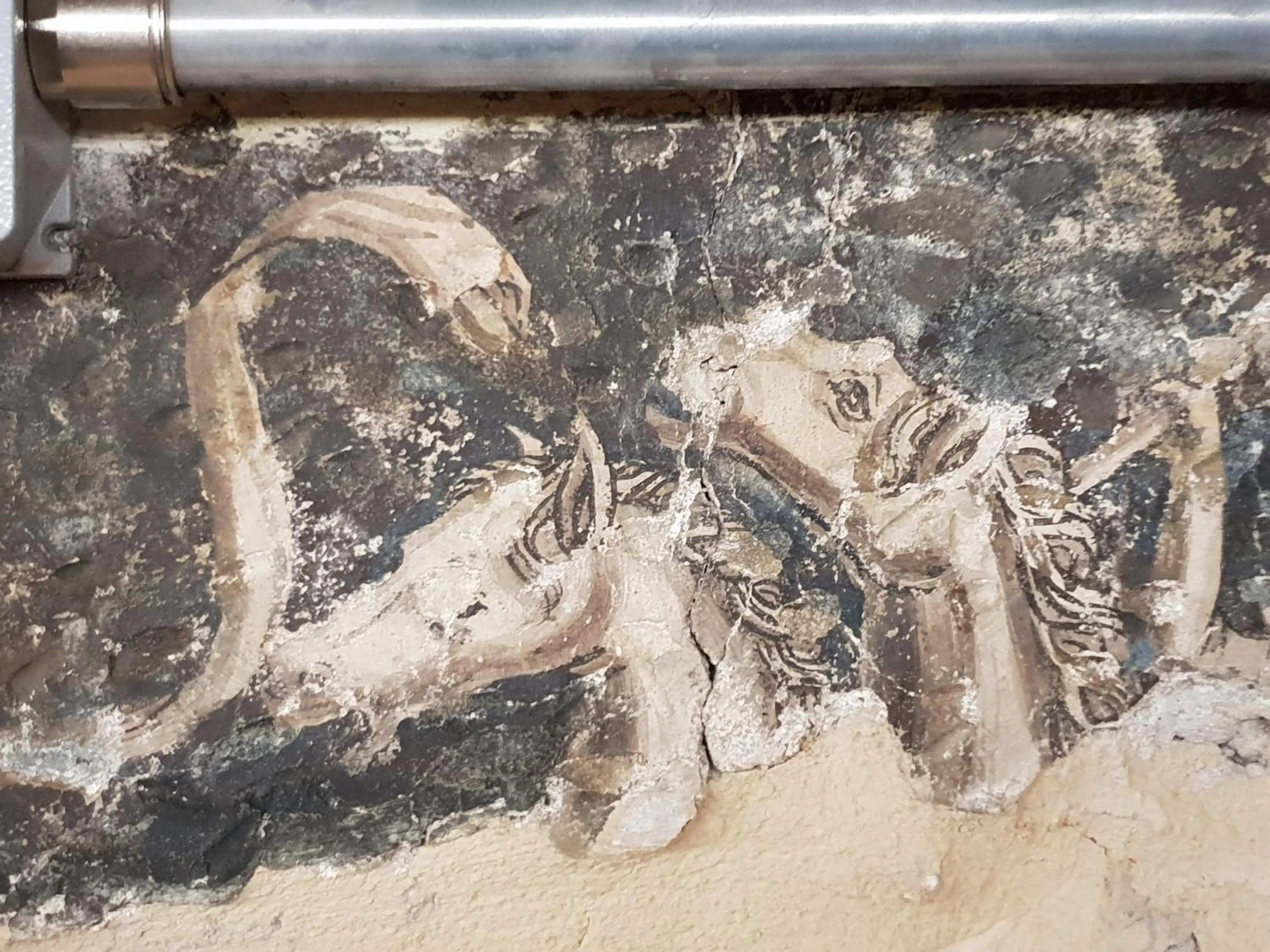 Decorative detail in Spazio Seicentesco