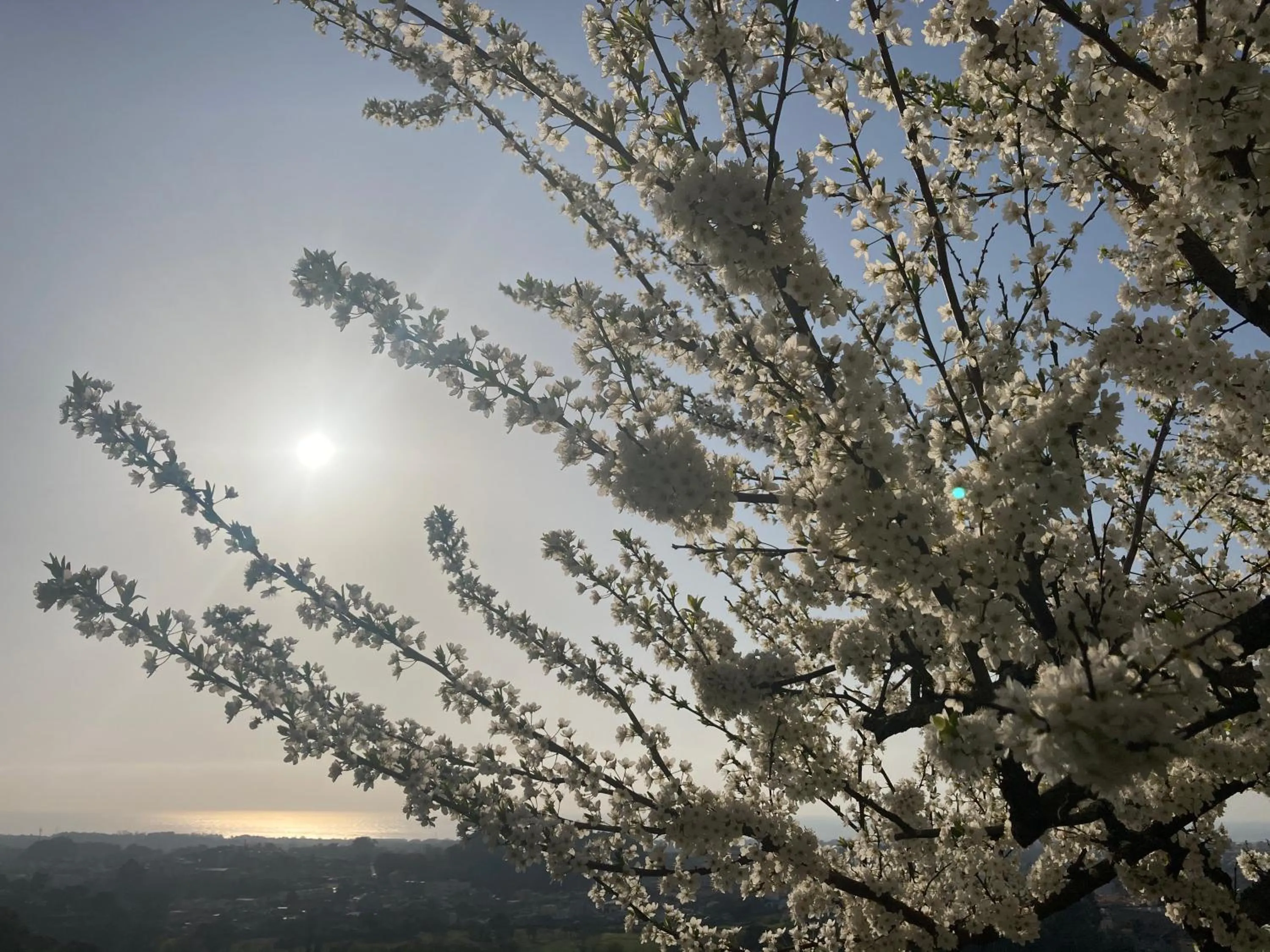 Other in Alfazema Sunset House