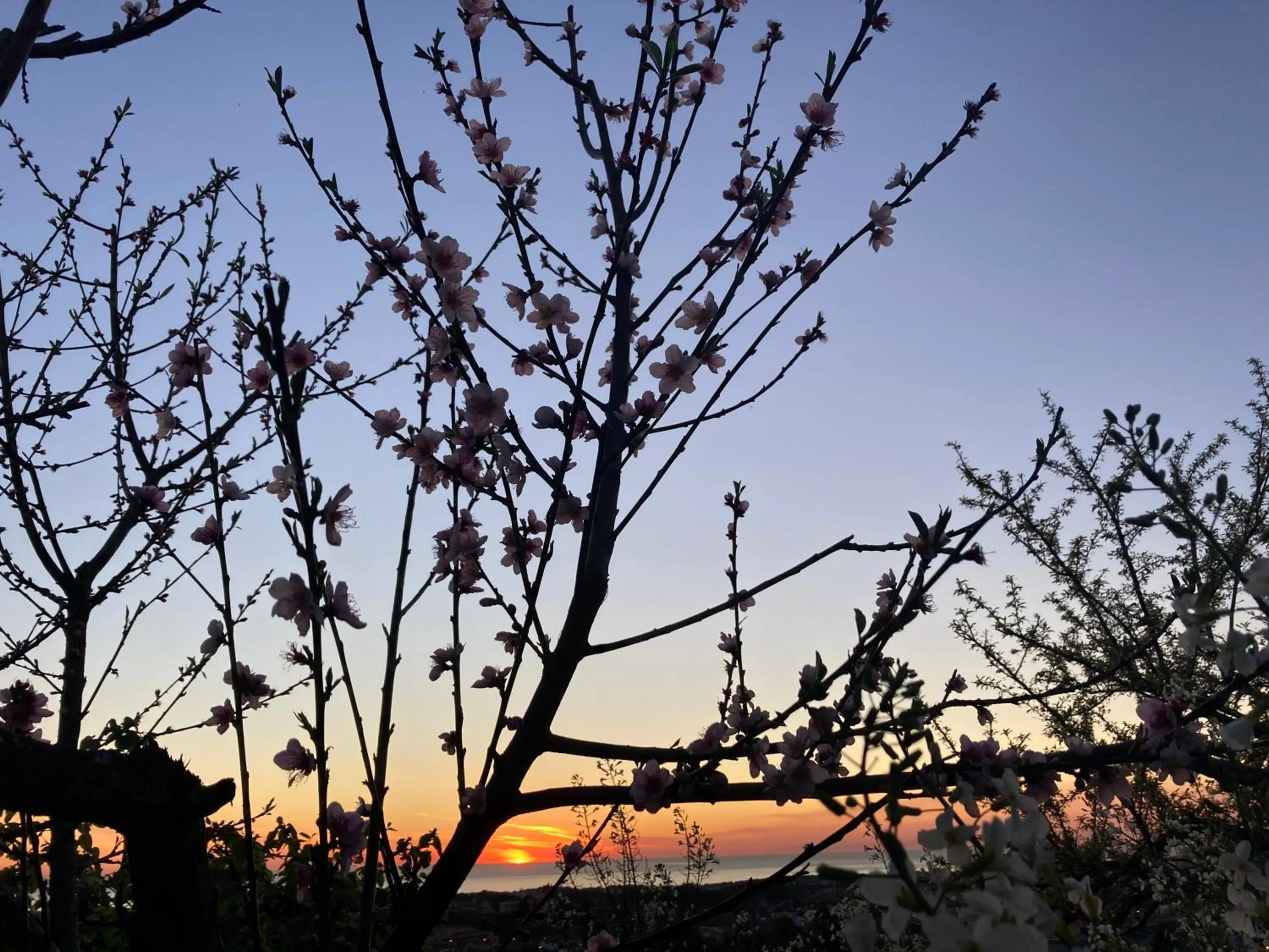 Other in Alfazema Sunset House