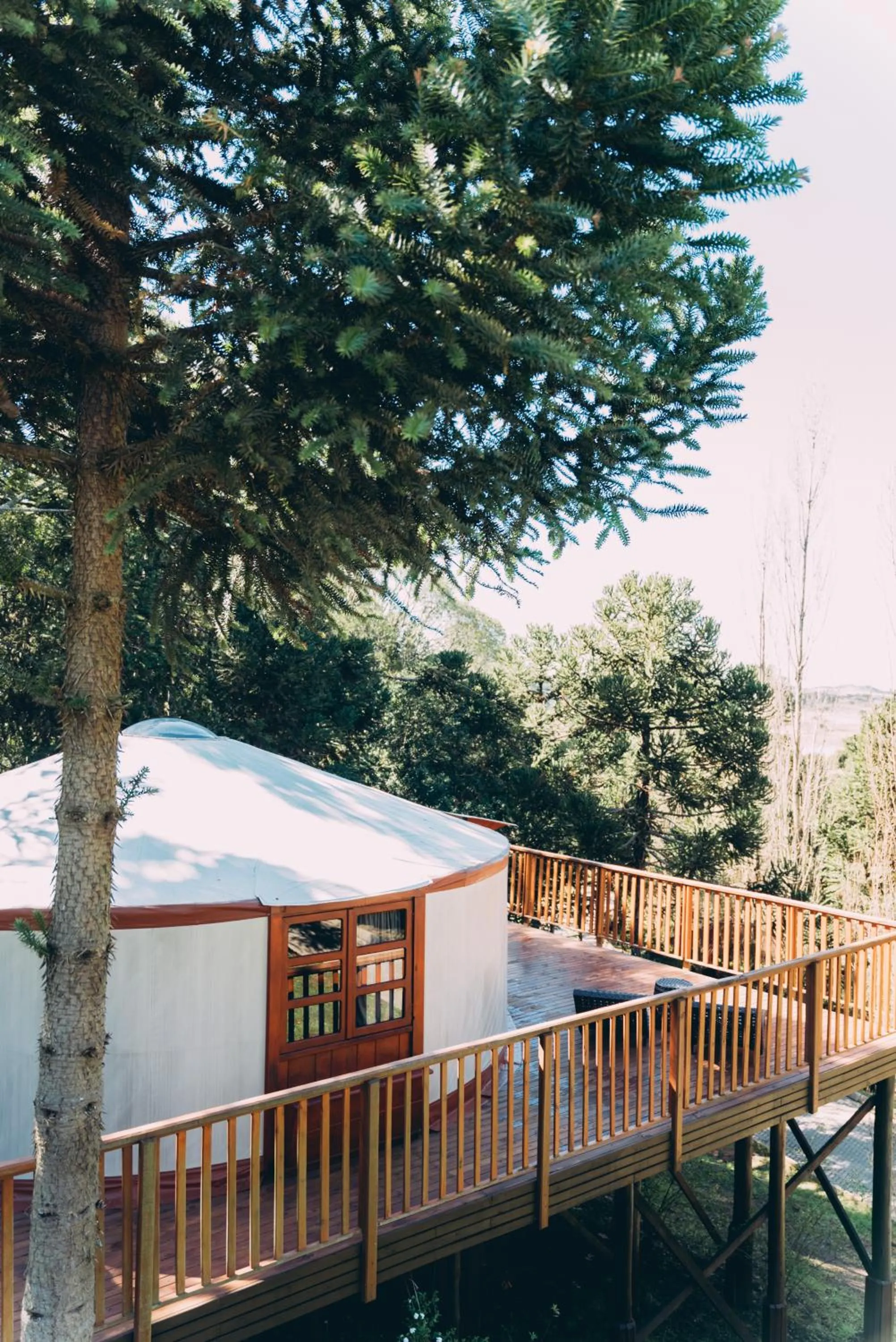 Solar do Oriente - Yurt Ecovillage