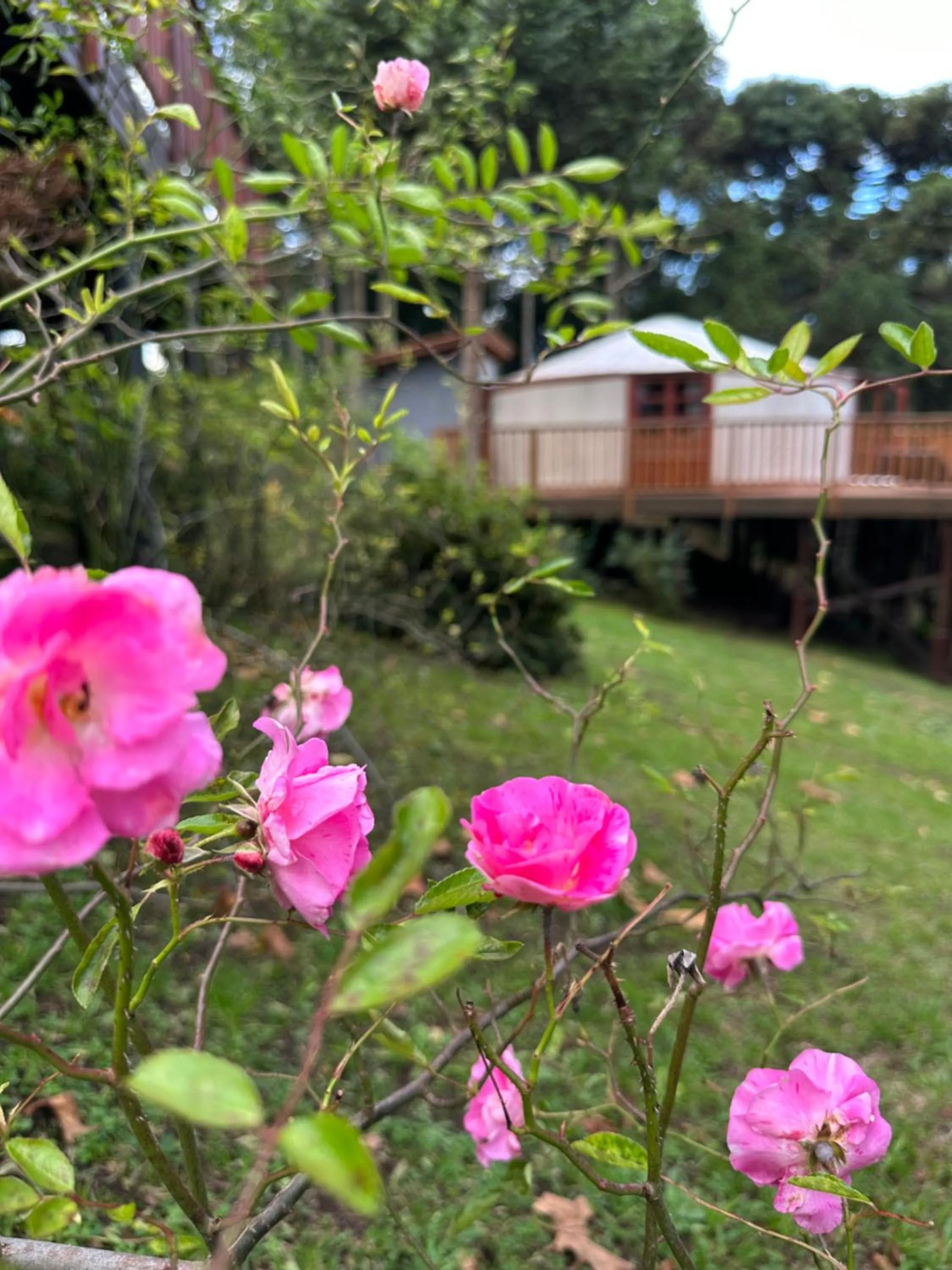 Solar do Oriente - Yurt Ecovillage