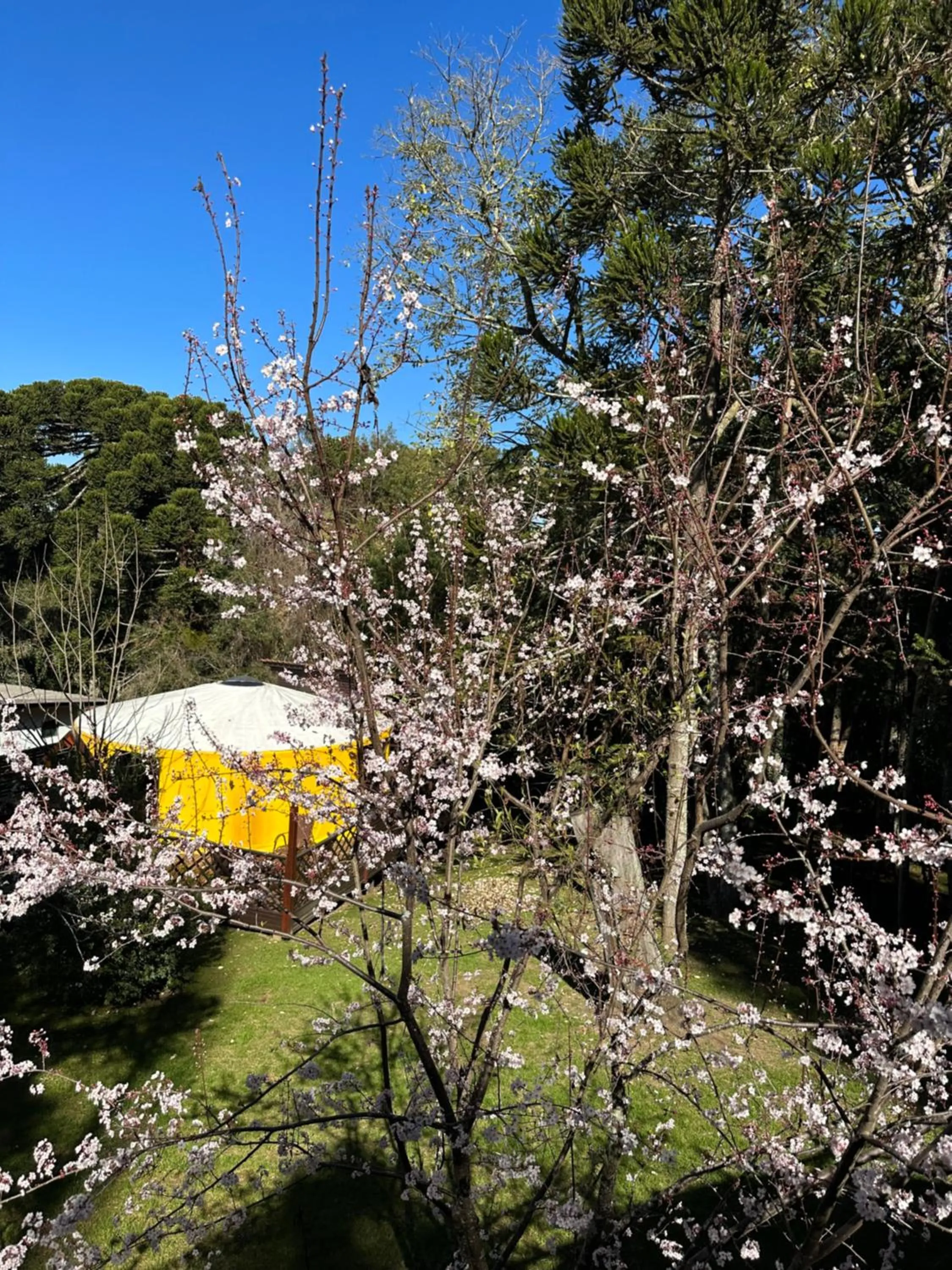 Solar do Oriente - Yurt Ecovillage