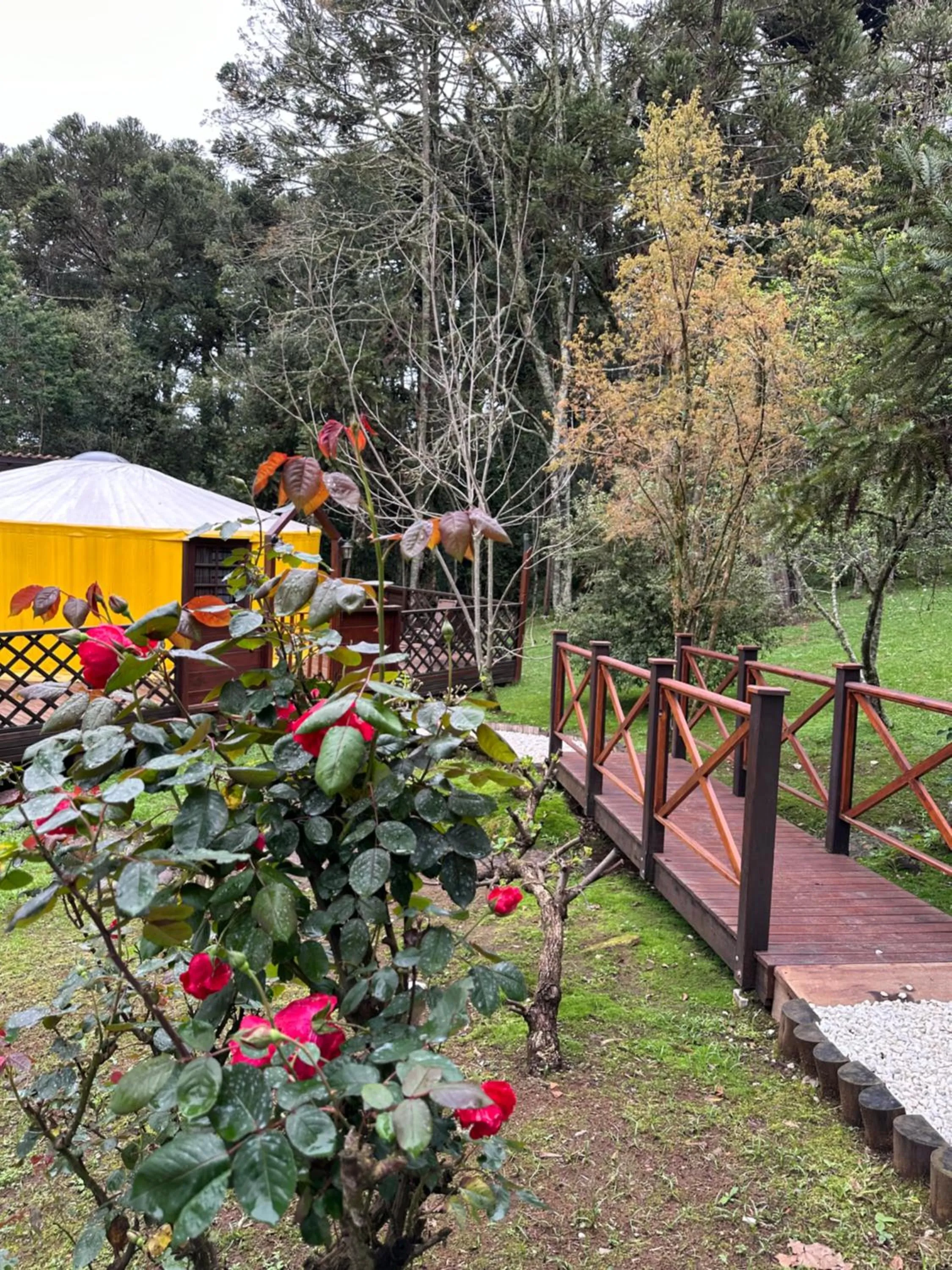 Solar do Oriente - Yurt Ecovillage