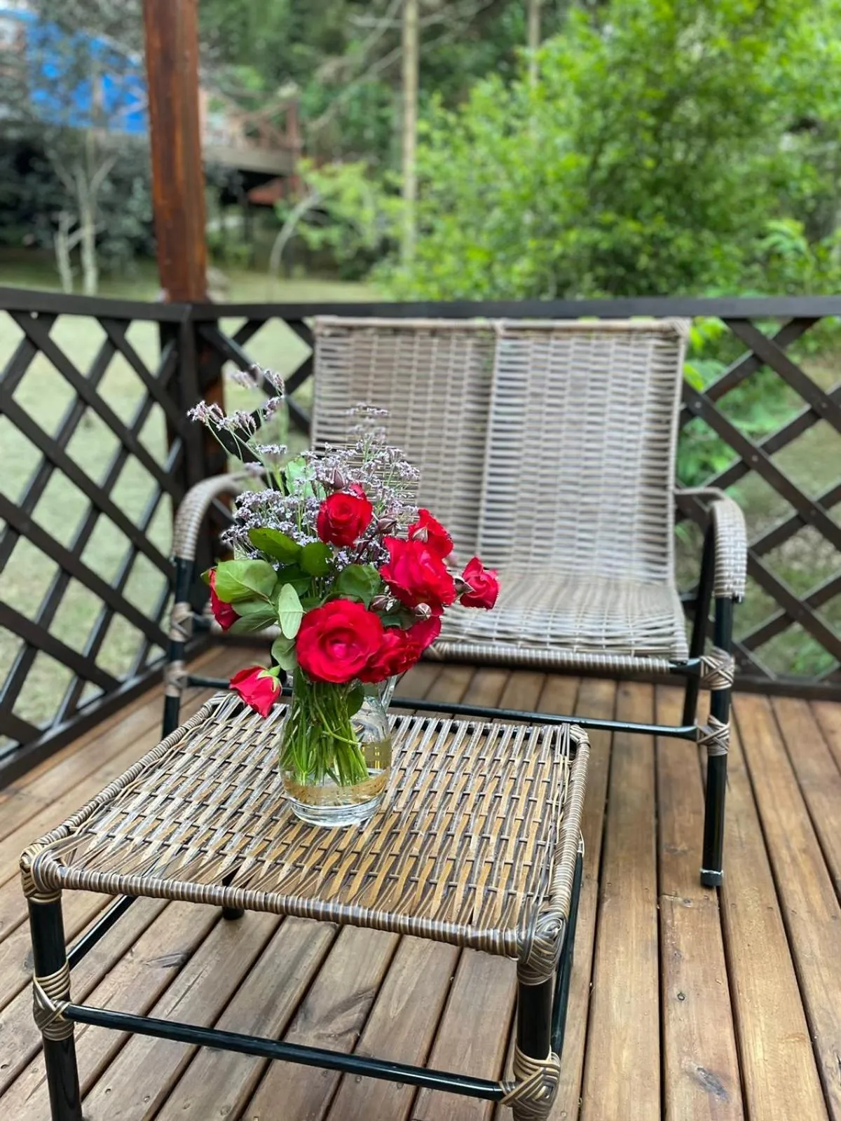 Solar do Oriente - Yurt Ecovillage