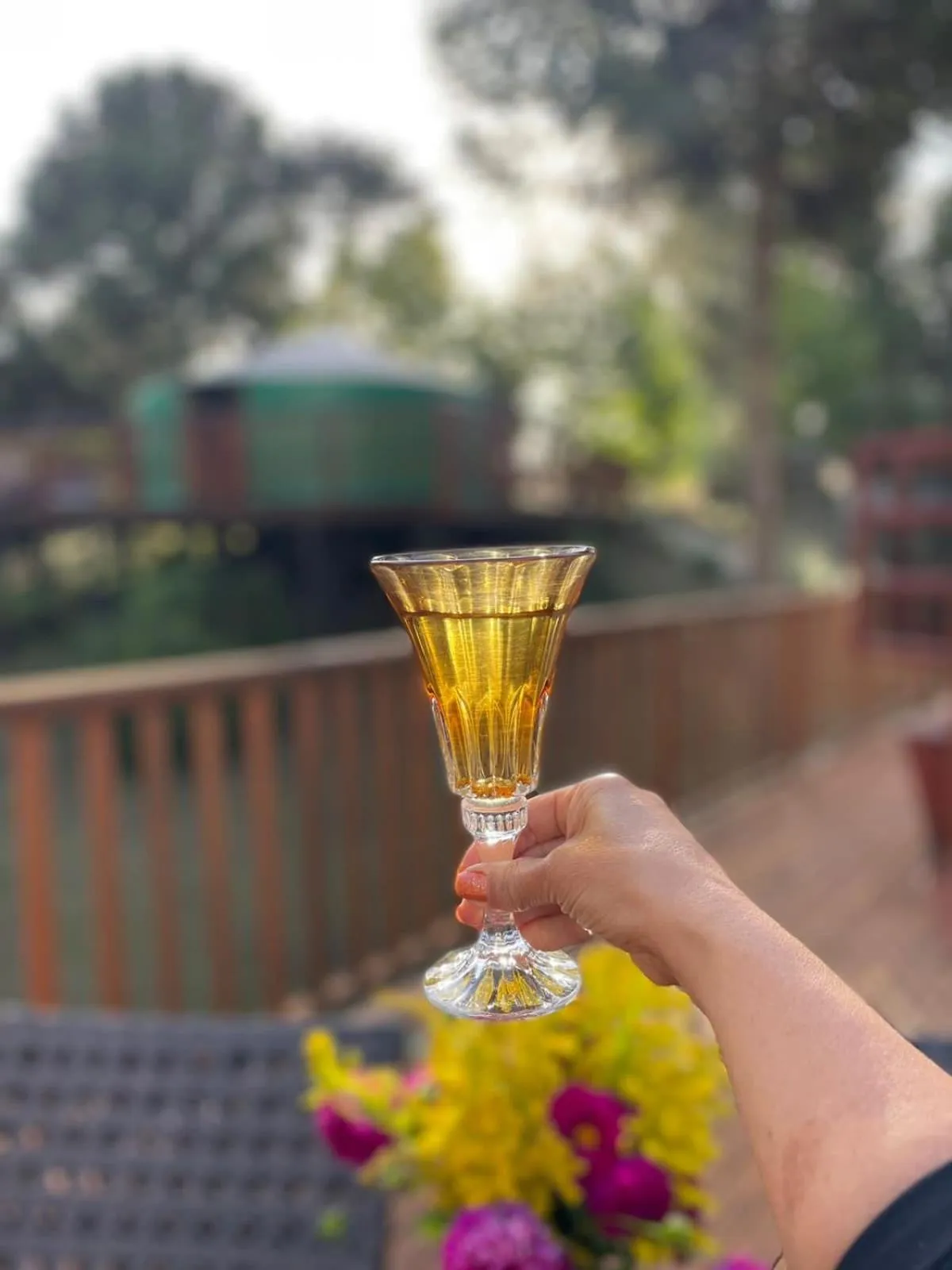 Solar do Oriente - Yurt Ecovillage