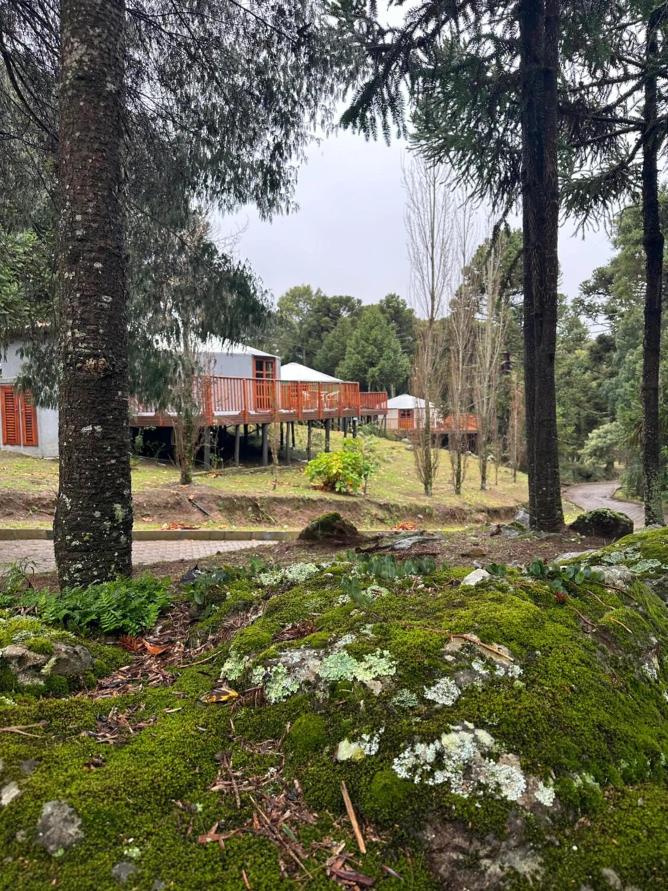 Solar do Oriente - Yurt Ecovillage