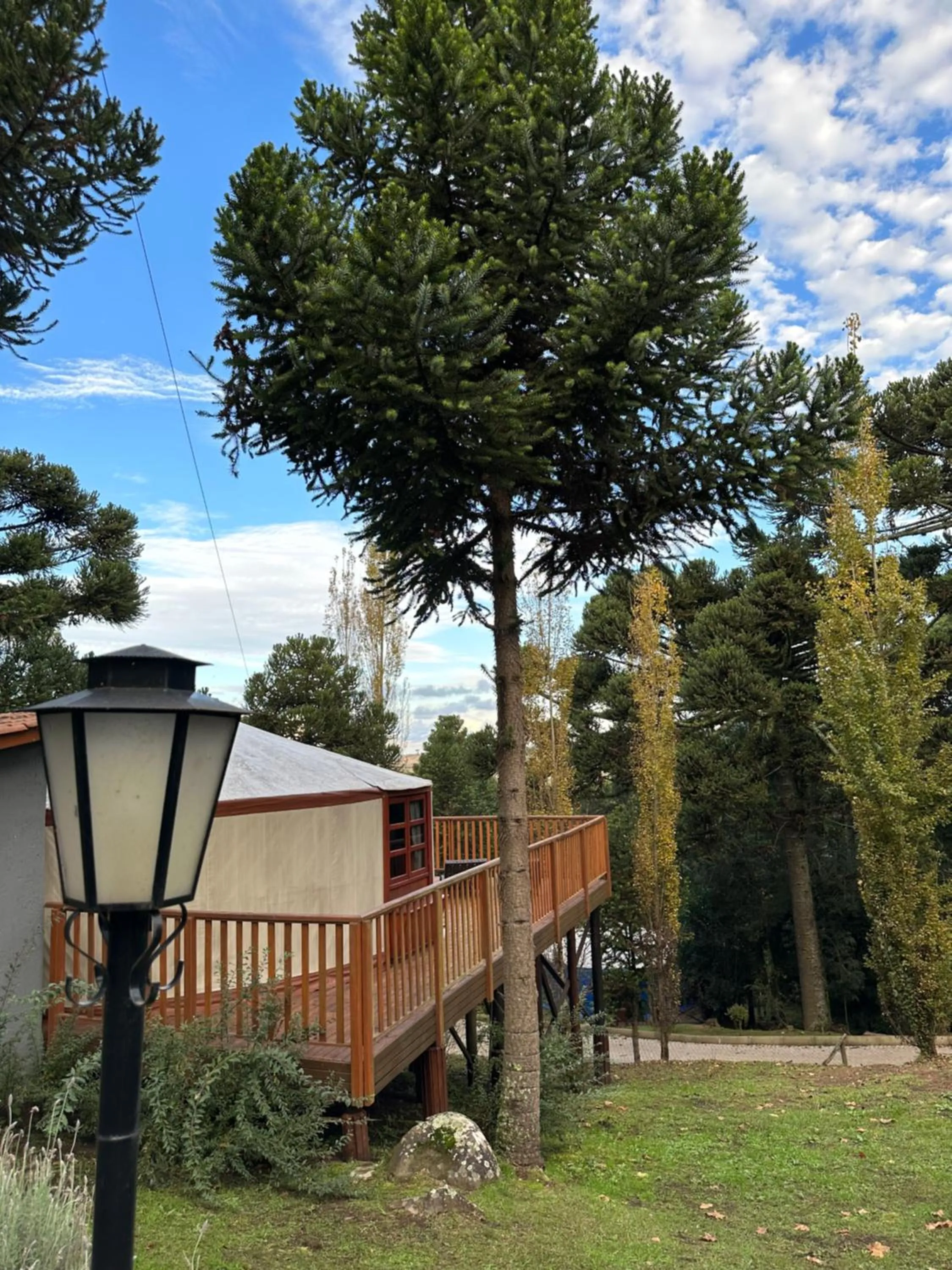 Solar do Oriente - Yurt Ecovillage