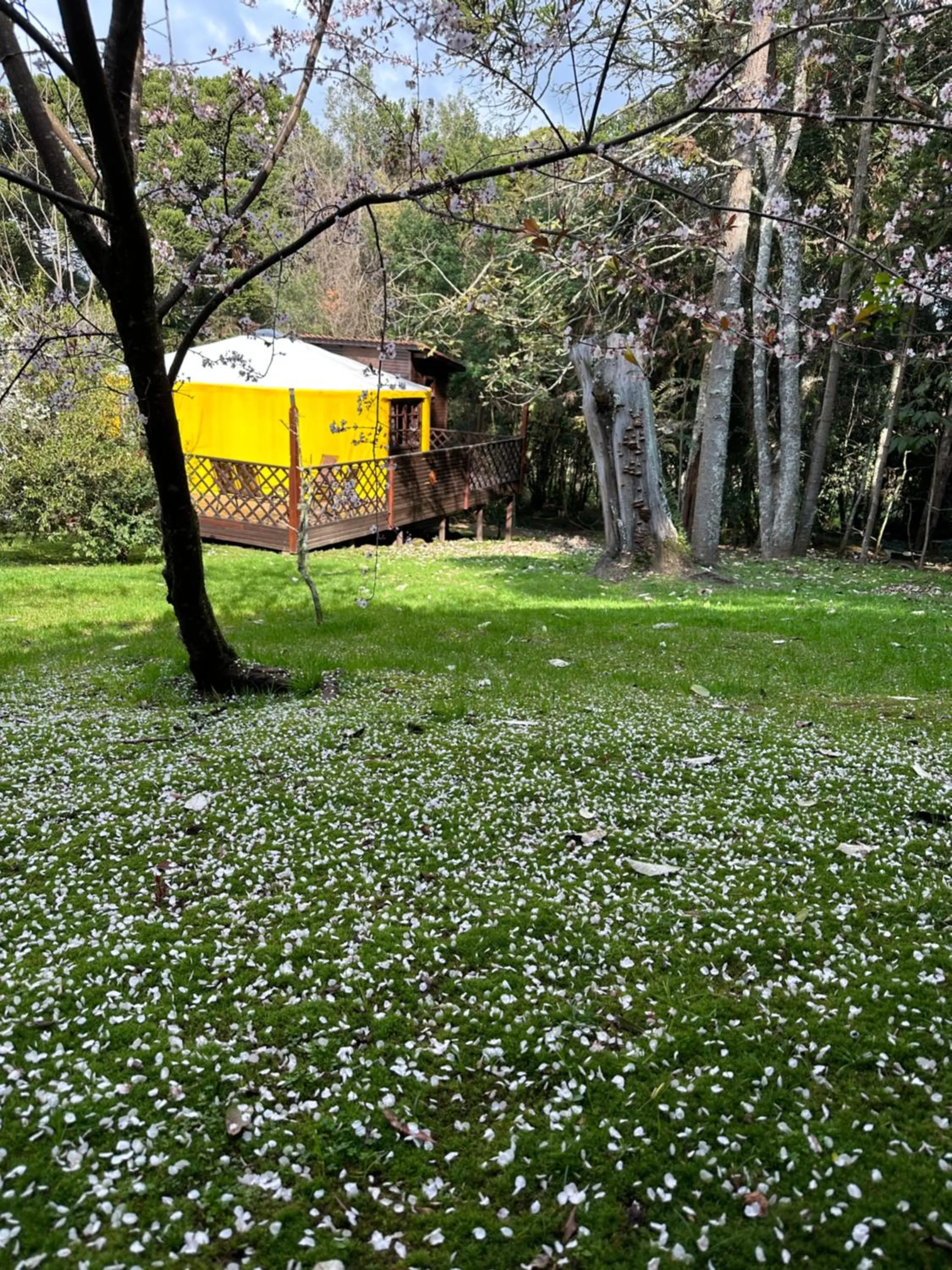 Solar do Oriente - Yurt Ecovillage
