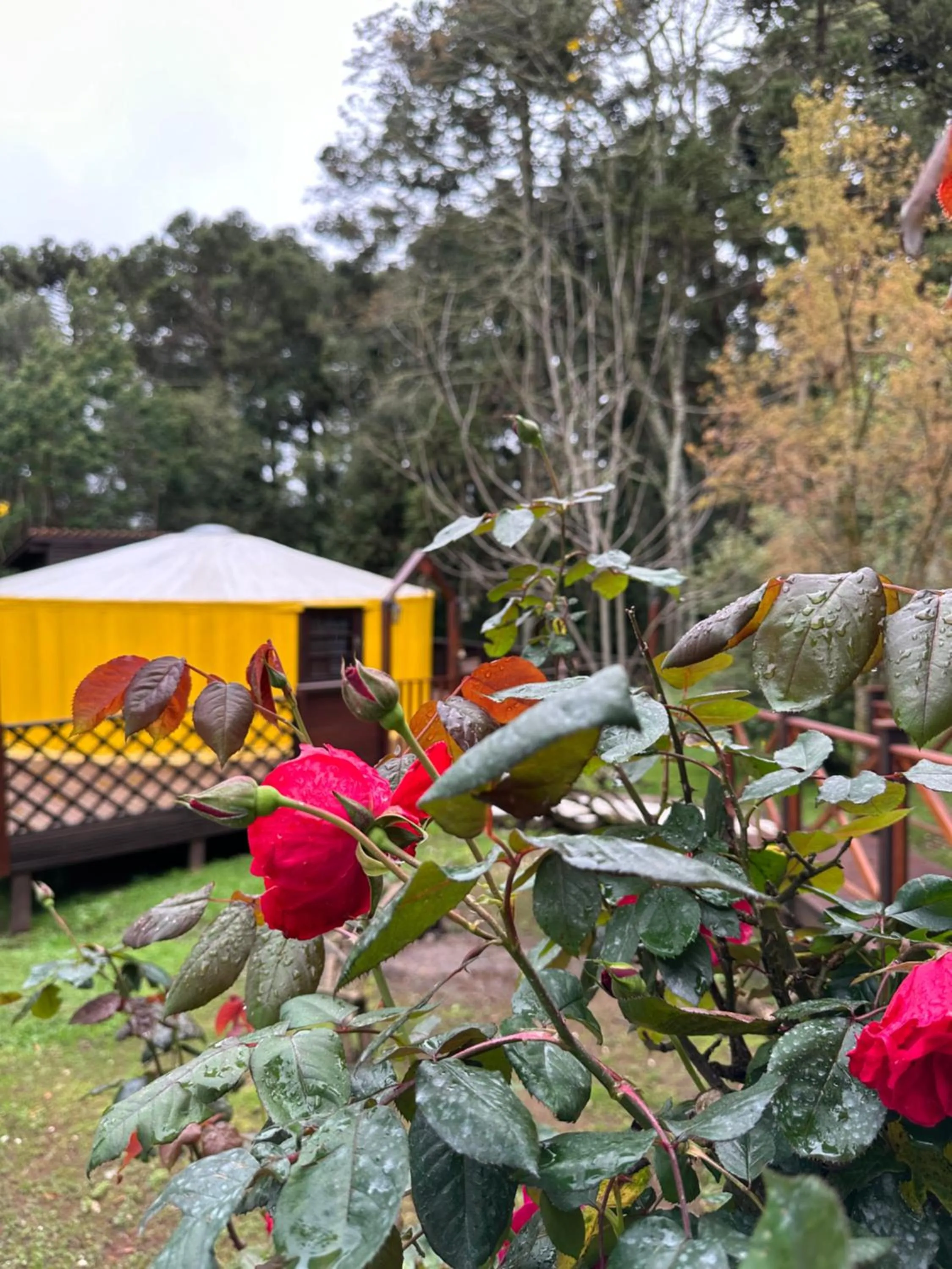 Solar do Oriente - Yurt Ecovillage