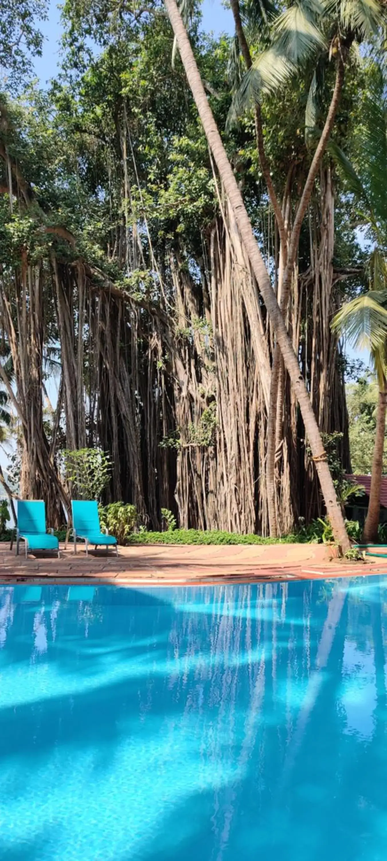 Swimming pool in Bambolim Beach Resort Swimming pool in Bambolim Beach Resort