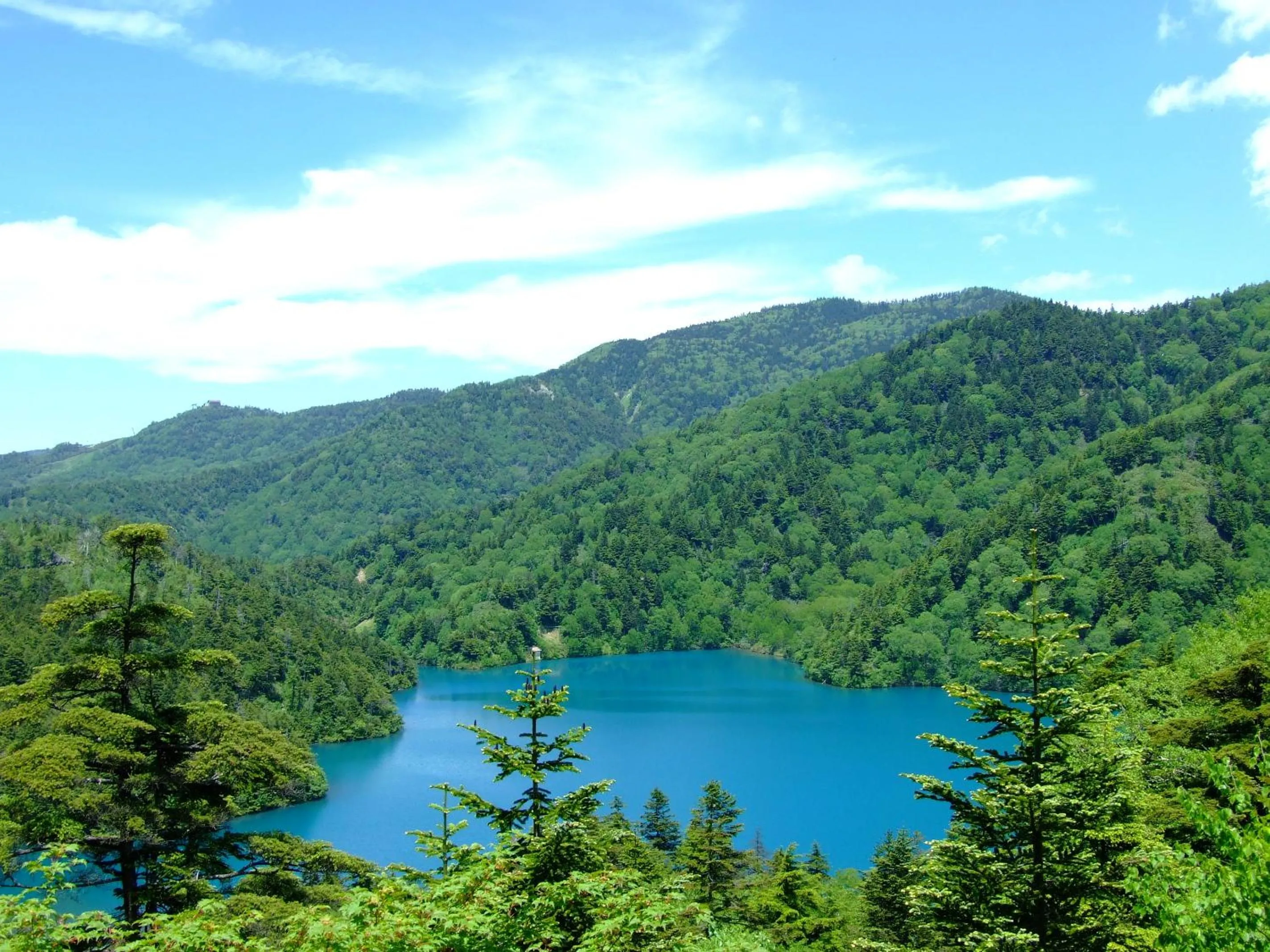 Area and facilities in Aspen Shiga