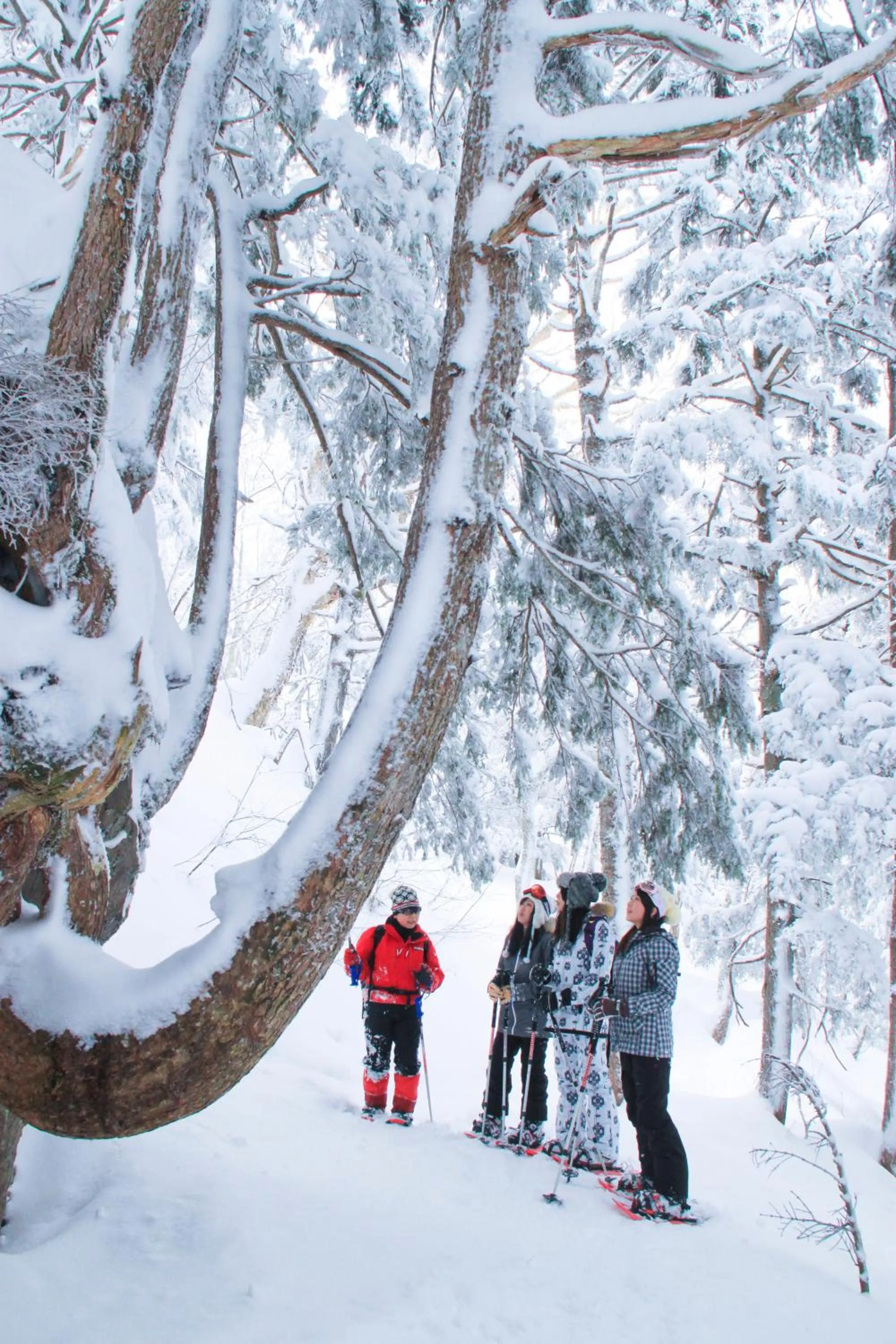 People in Aspen Shiga