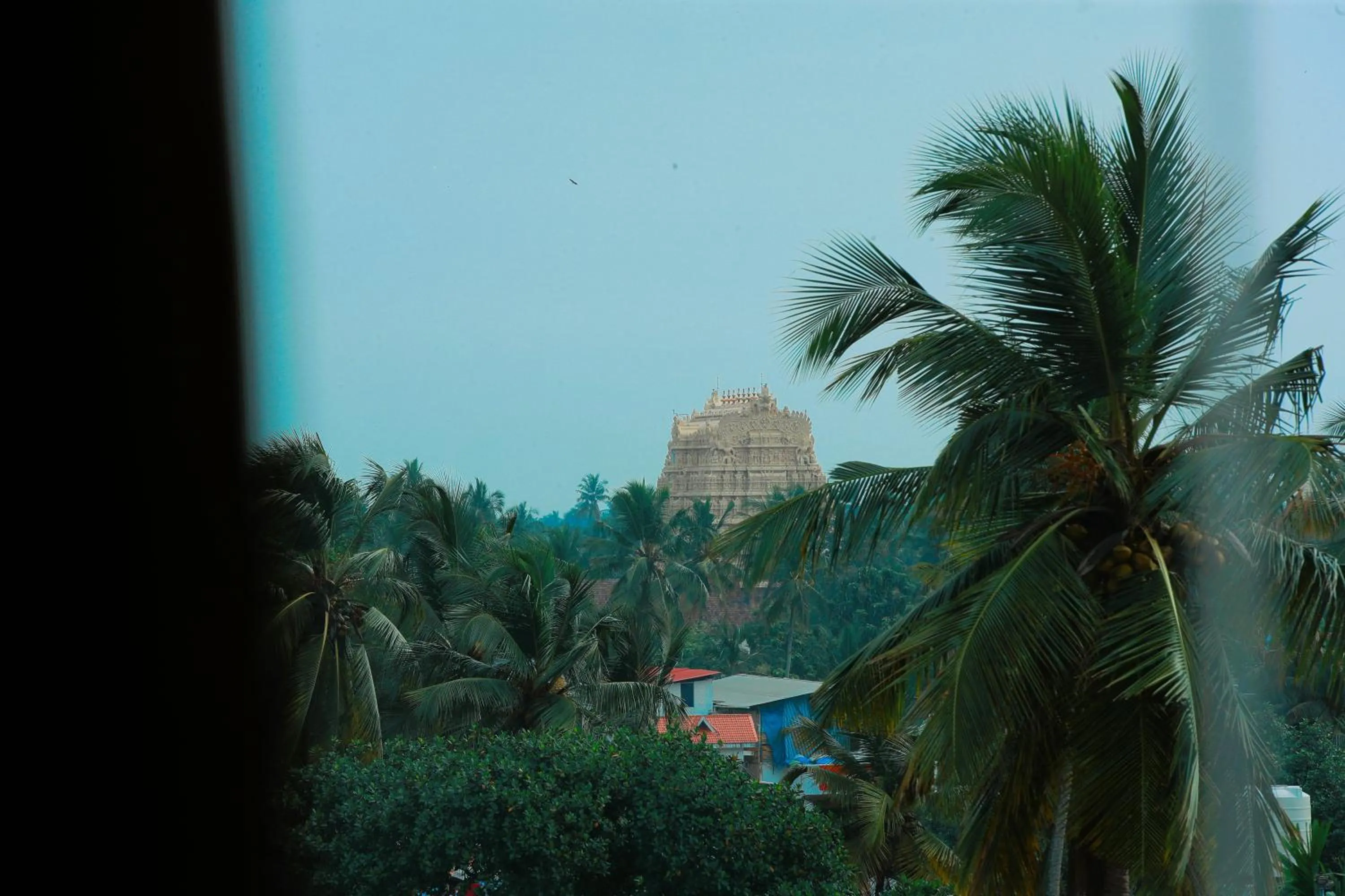 City view in Akhil Classic