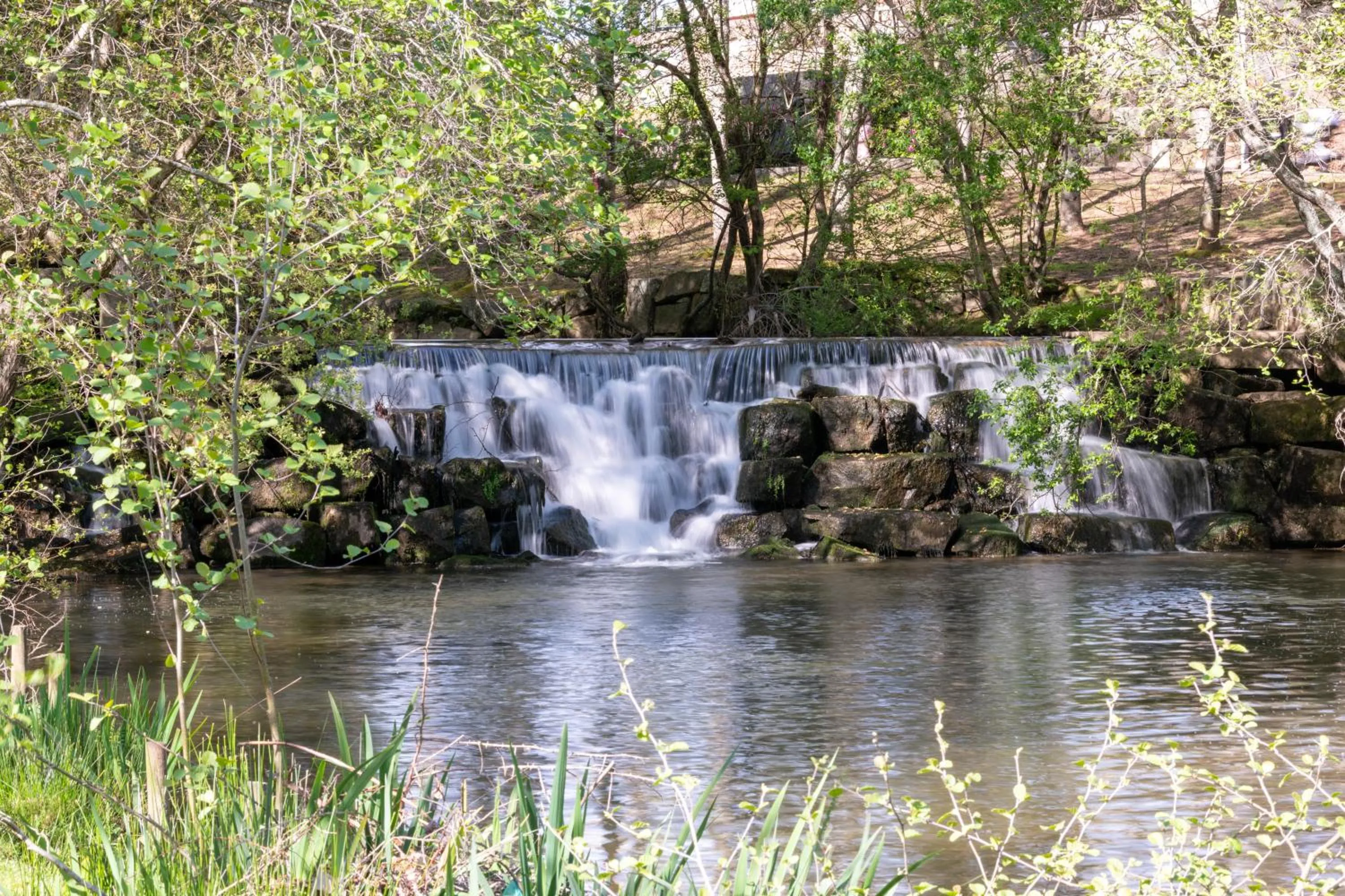 Natural landscape in Hotel A.S. Sao Joao da Madeira