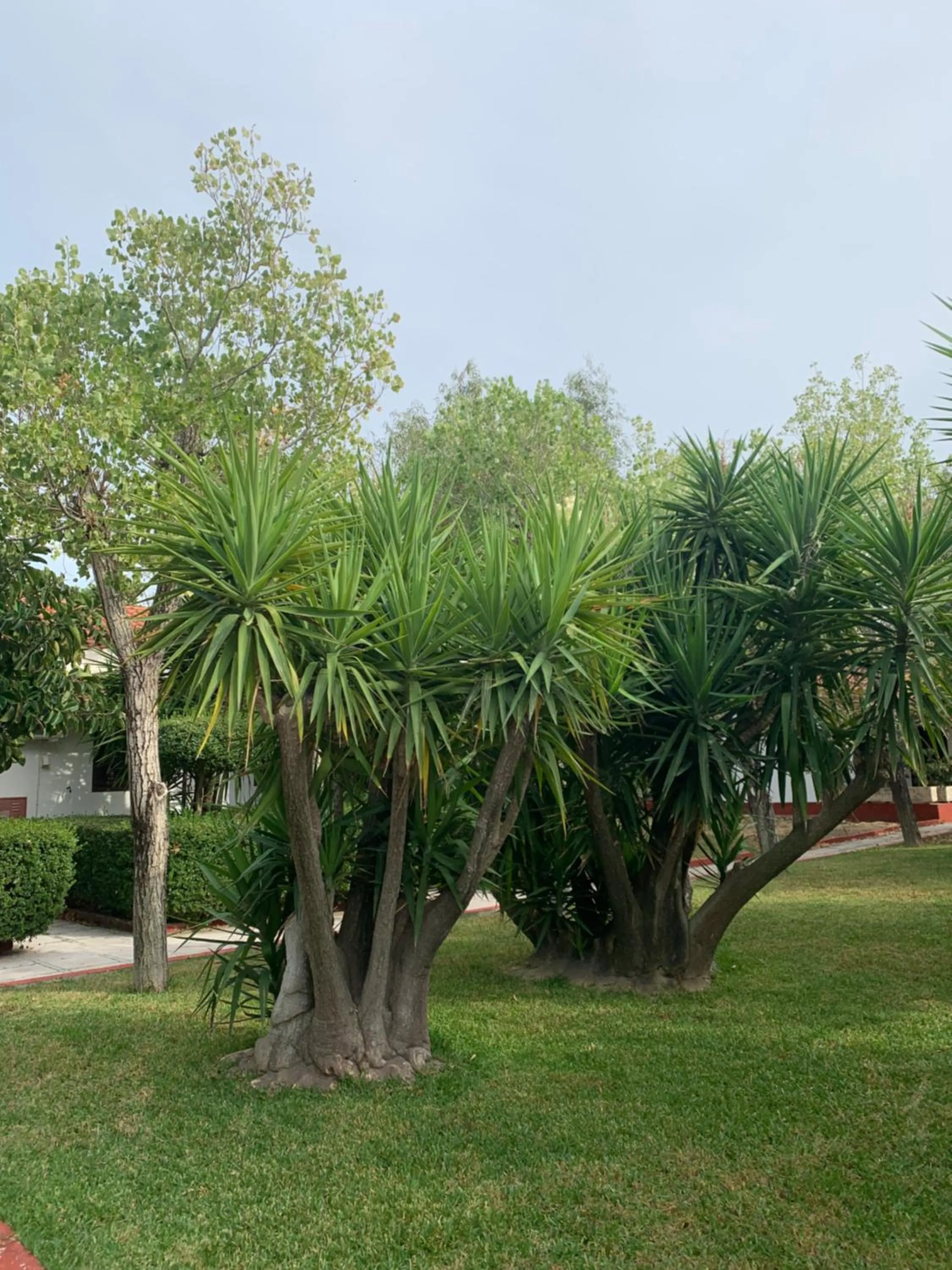 Alykes Park Bungalows