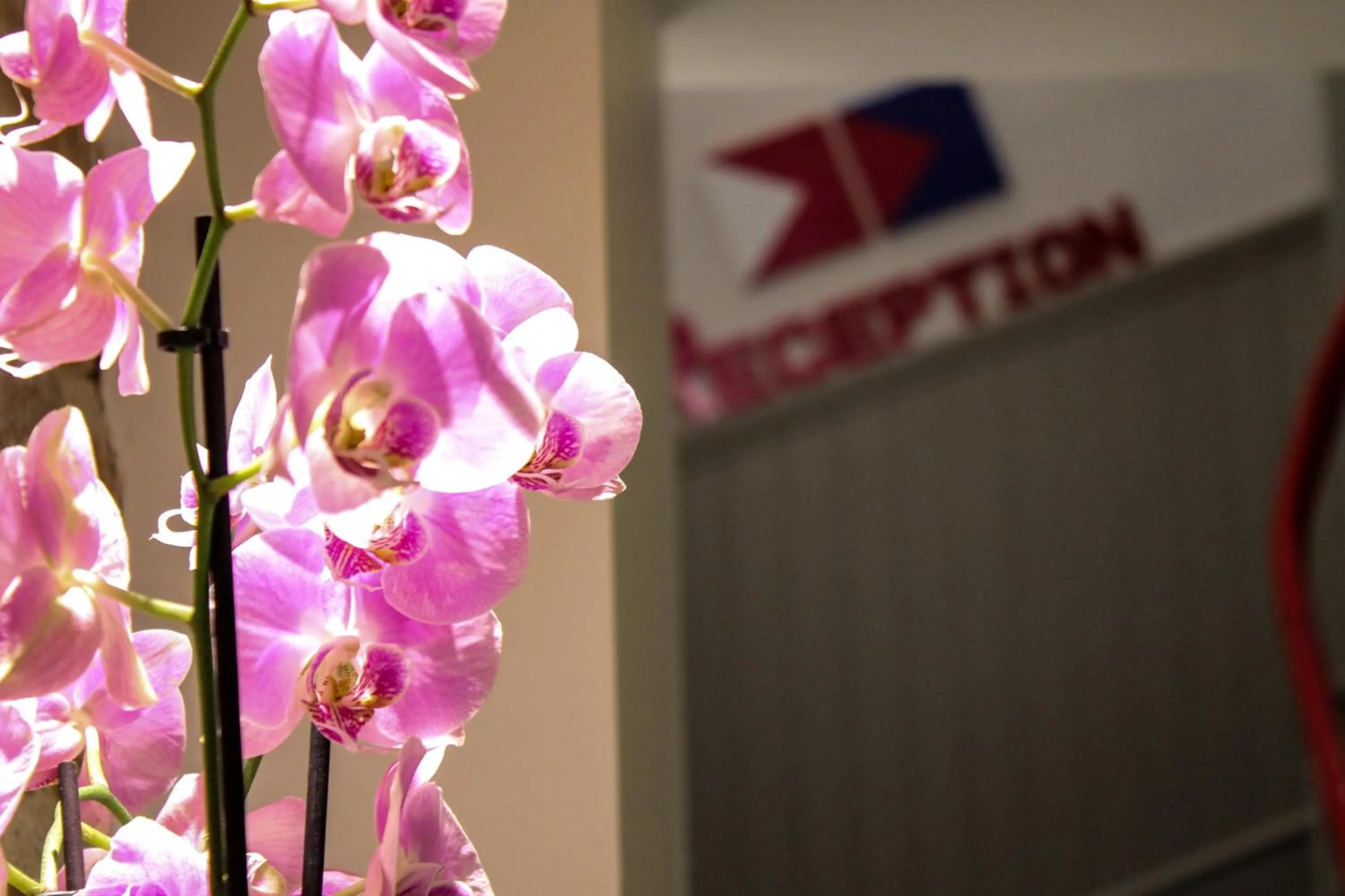 Lobby or reception in Hôtel des Arts