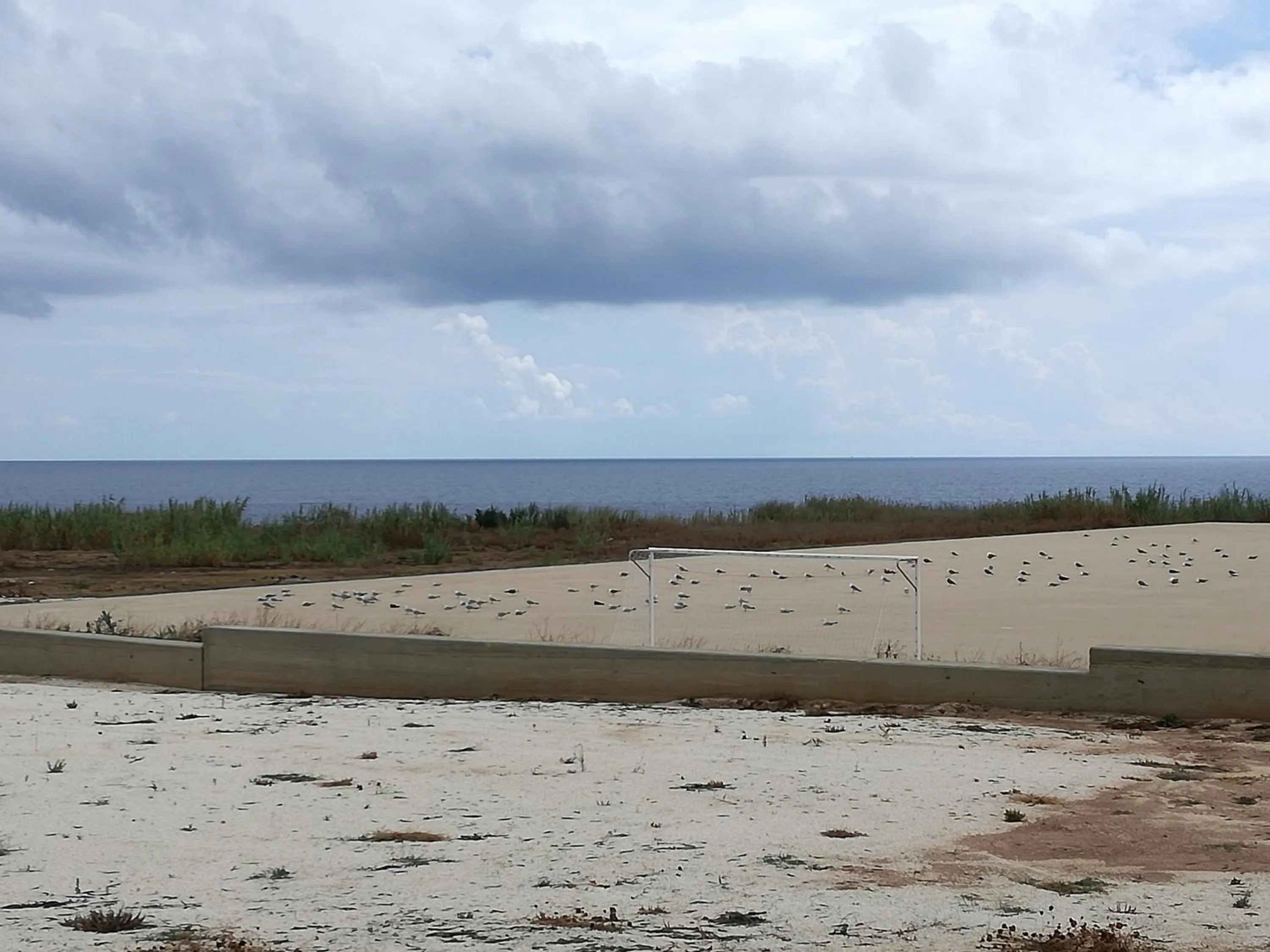 Animals in Mediterranea Guesthouse B&B