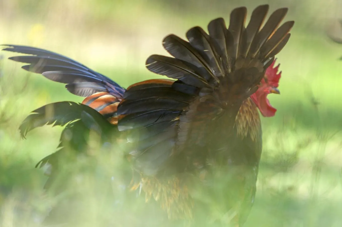 Property building in Al Gelso Bianco