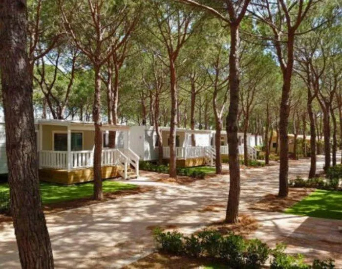 LODGE COMFORT MAREMMA in Gitavillage Le Marze