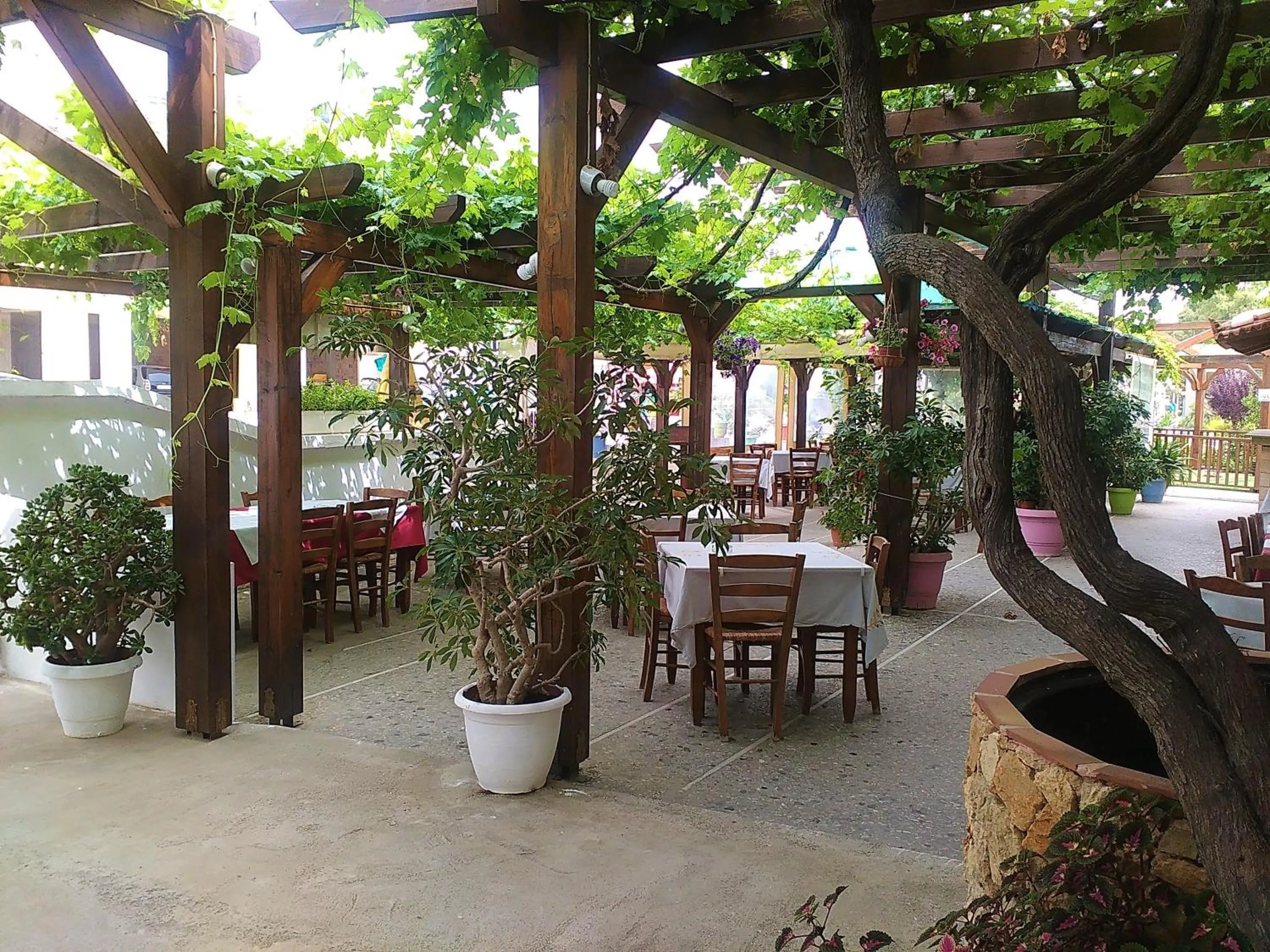 Restaurant/places to eat in Lefka