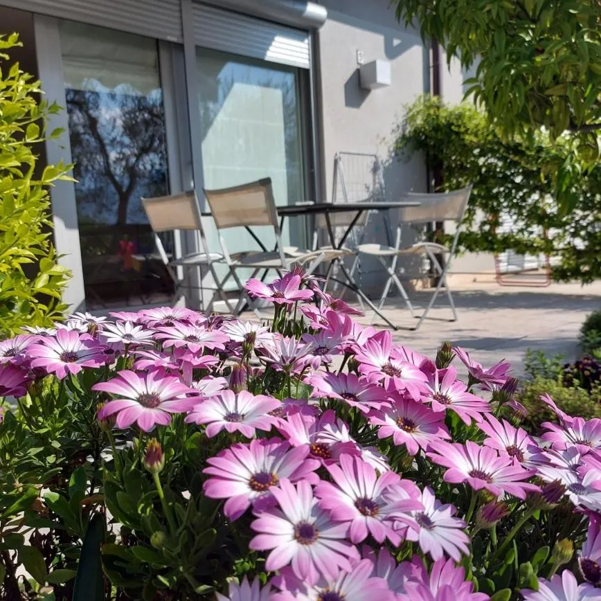 Villa Treccani Apartments