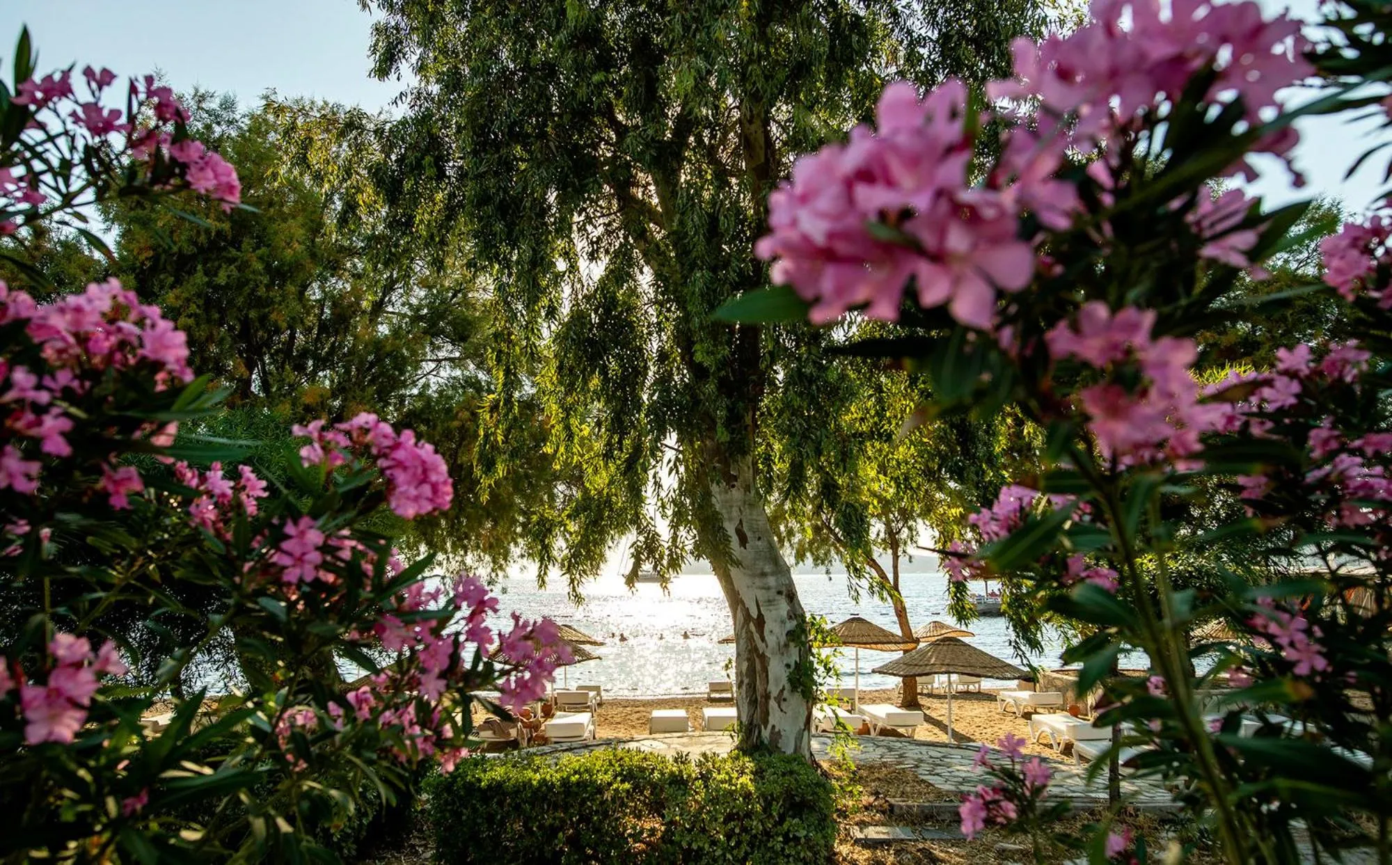 Day in Yalıpark Beach Hotel