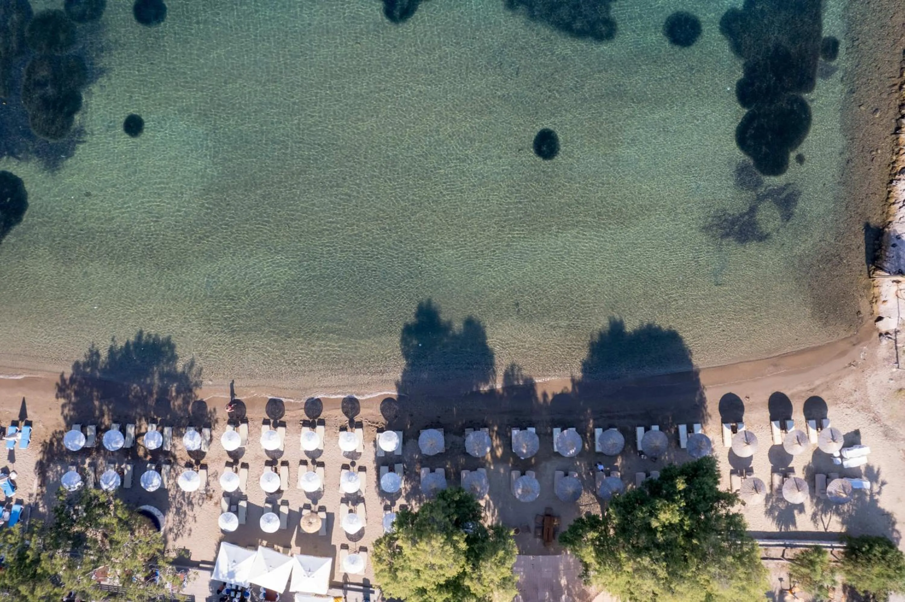 Day in Yalıpark Beach Hotel