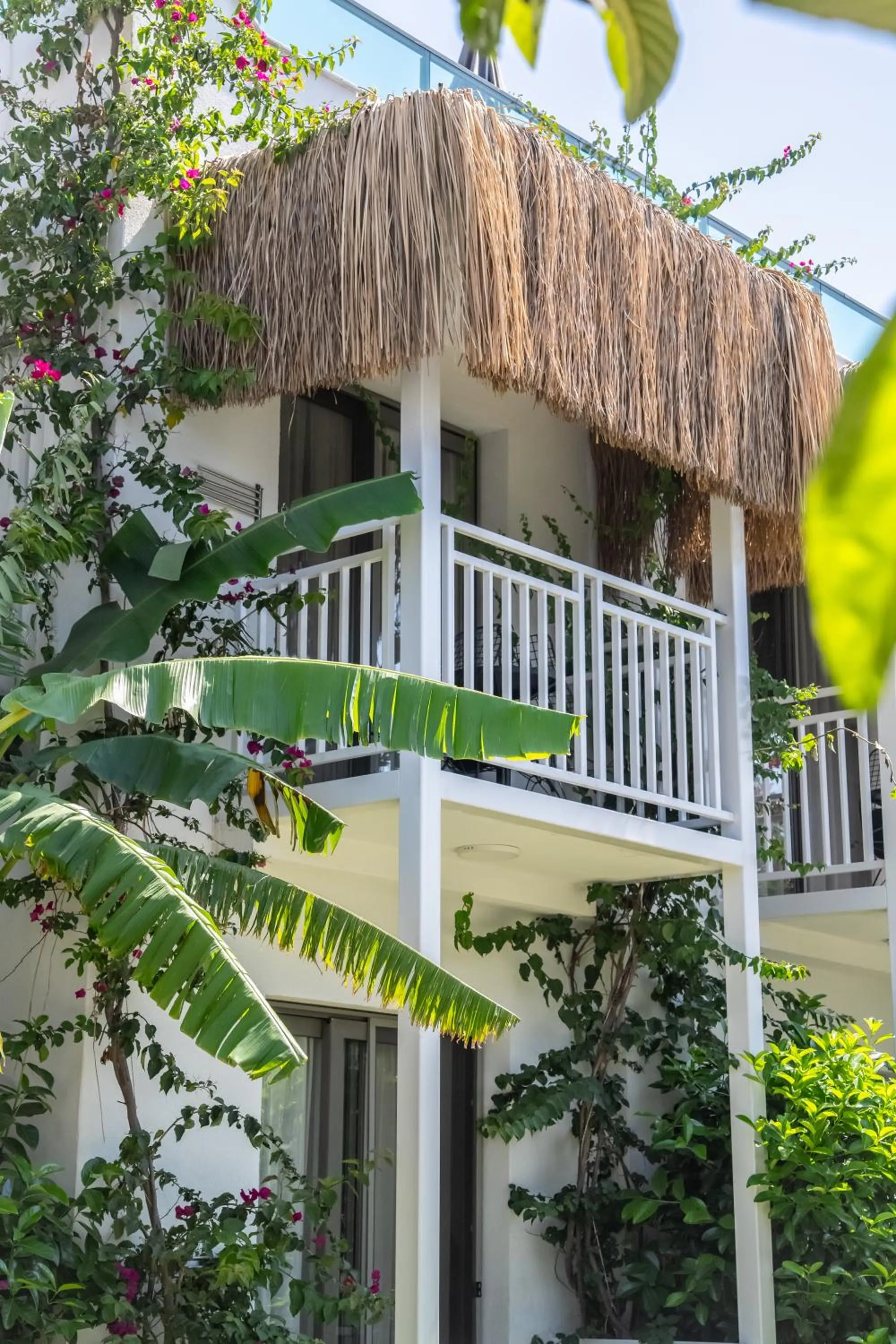 Garden in Yalıpark Beach Hotel