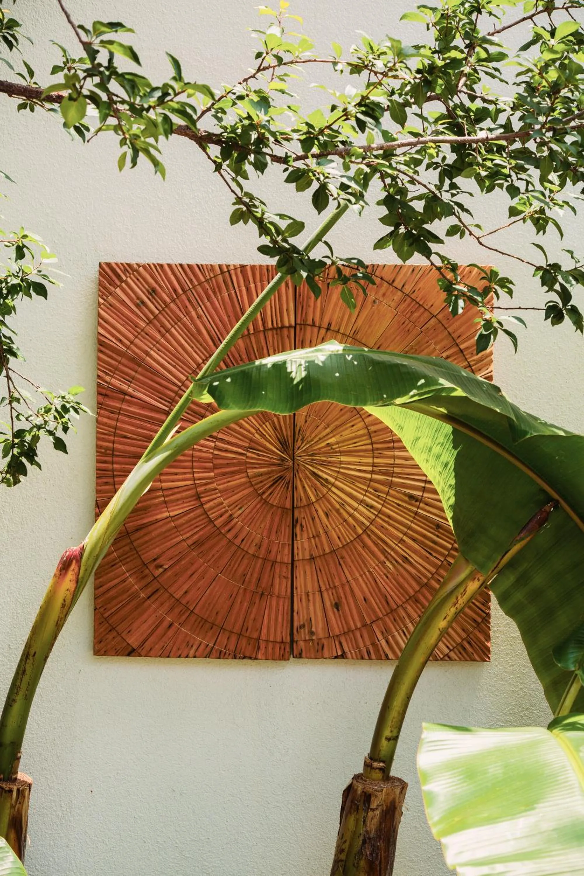 Garden in Yalıpark Beach Hotel