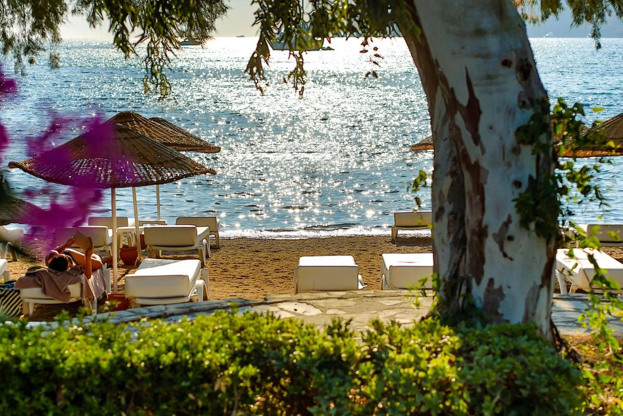 Beach in Yalıpark Beach Hotel