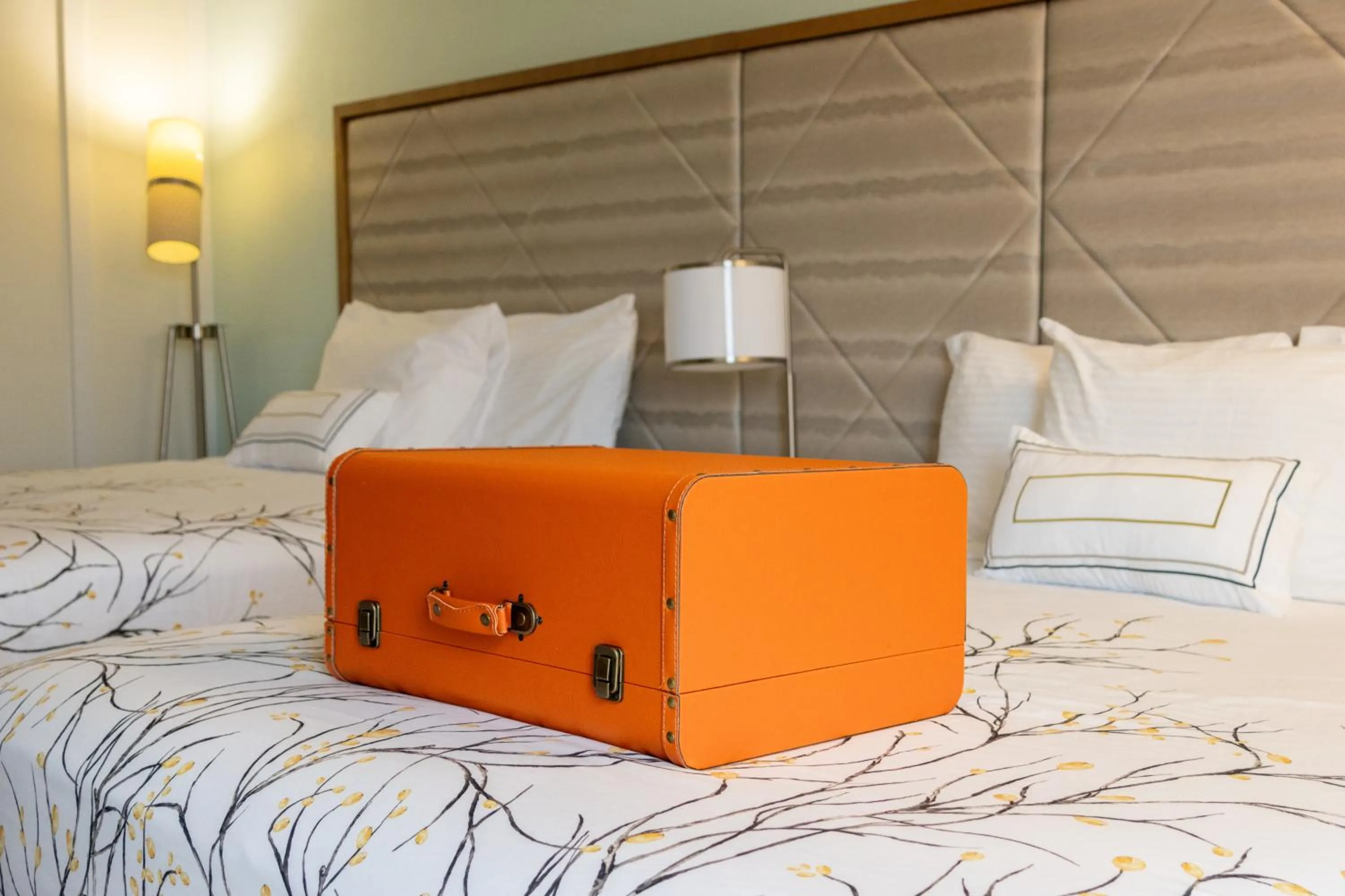 Bed in NEW 2026-Ocean Sands Beach Boutique Inn-Sauna and Salt-Mineral Pool -Free Beach Bikes and Famous Beach- Fresh Baked Cookies and Popcorn - Bathrobes and Sunscreen in all rooms-Ultra Sparkling-Free Laundry- 4 Grand Black Beds-Call NOW & Save-1-252-AHA-SAND