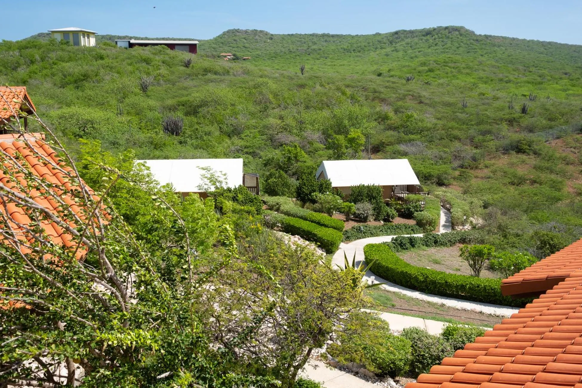 Spring in Bandabou Breeze Curacao