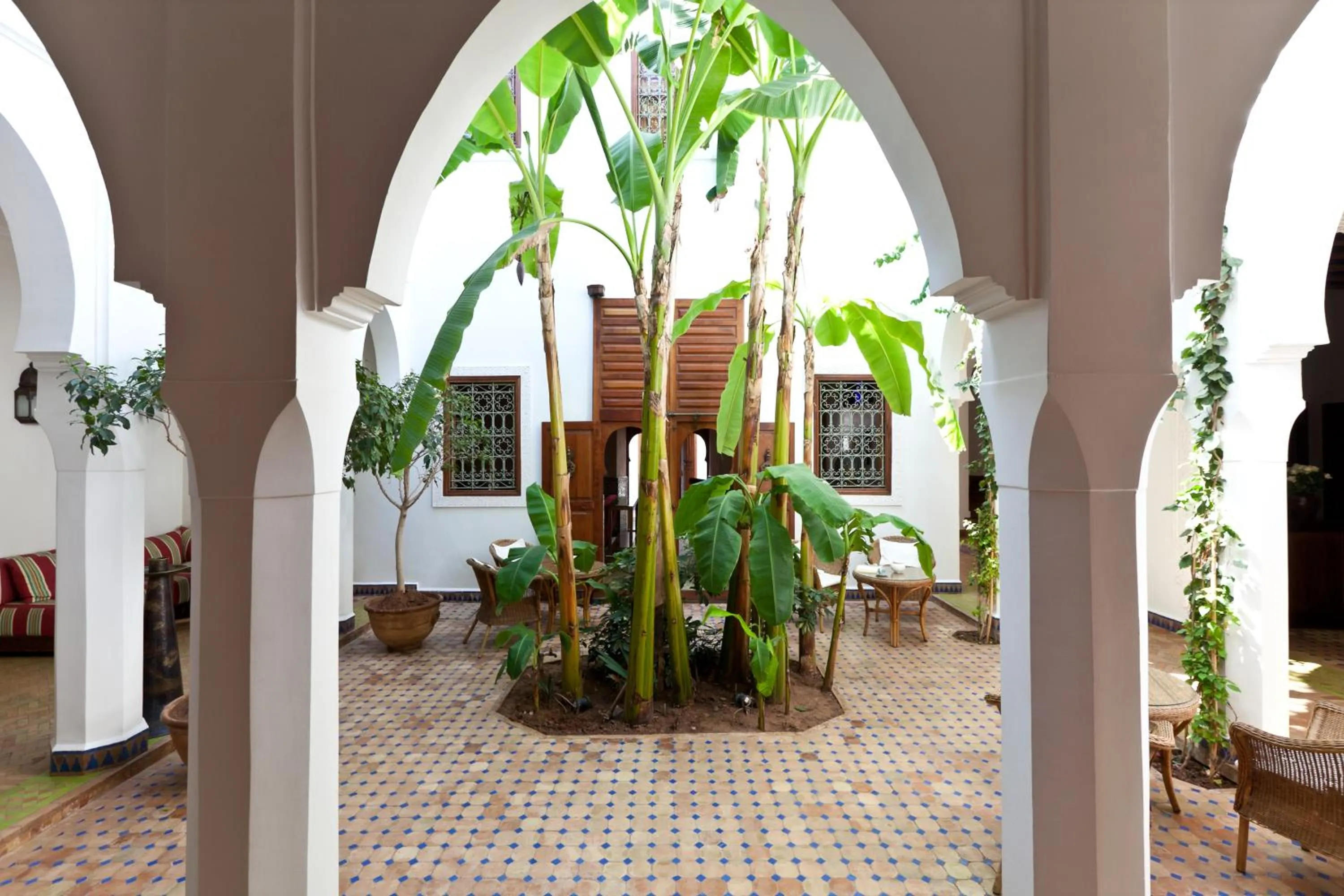 Garden in Riad Les Bougainvilliers