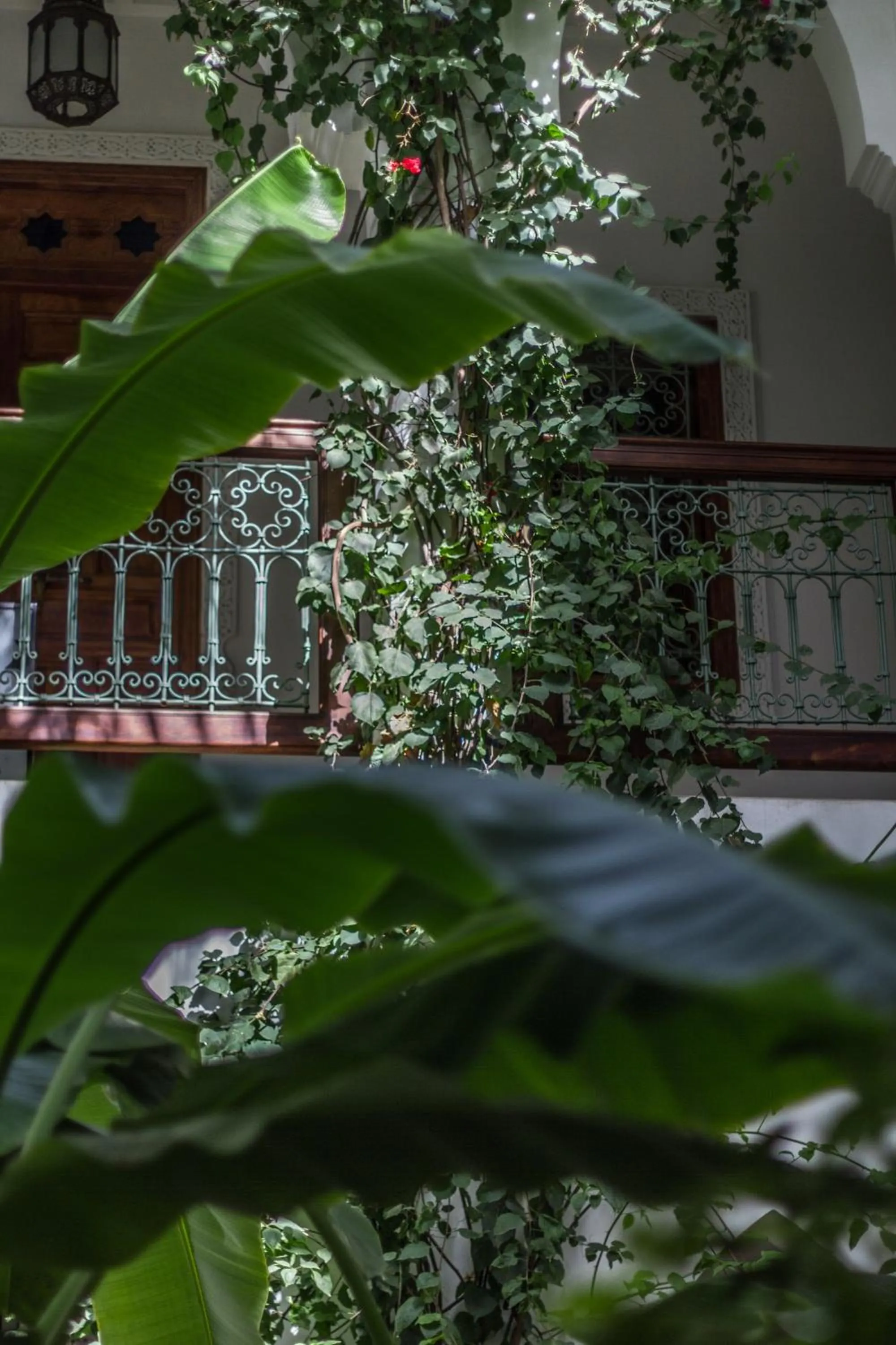 Garden view in Riad Les Bougainvilliers