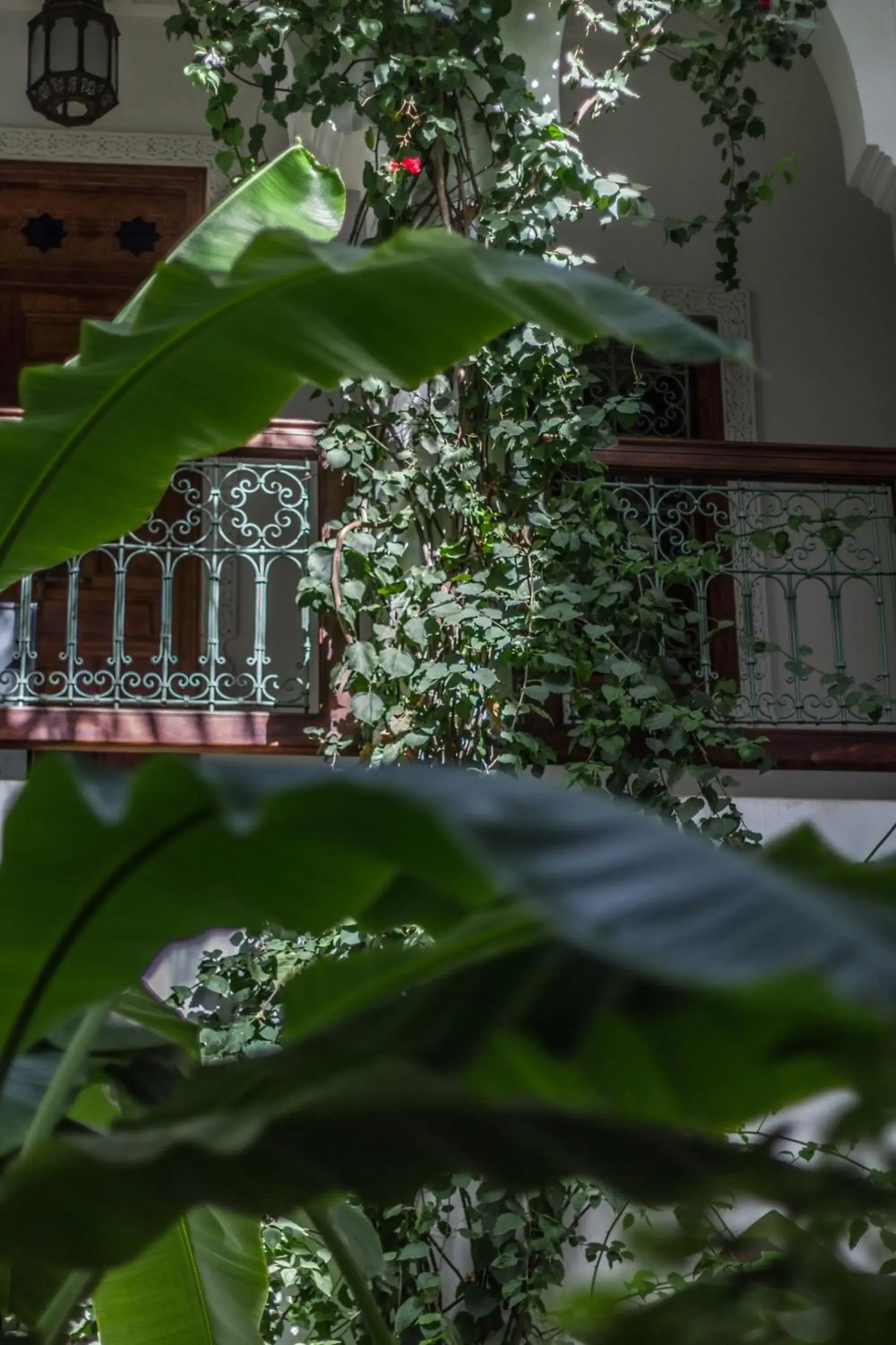 Garden view in Riad Les Bougainvilliers Garden view in Riad Les Bougainvilliers