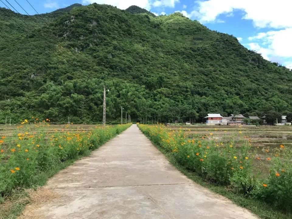 Mai Chau Xanh Bungalow