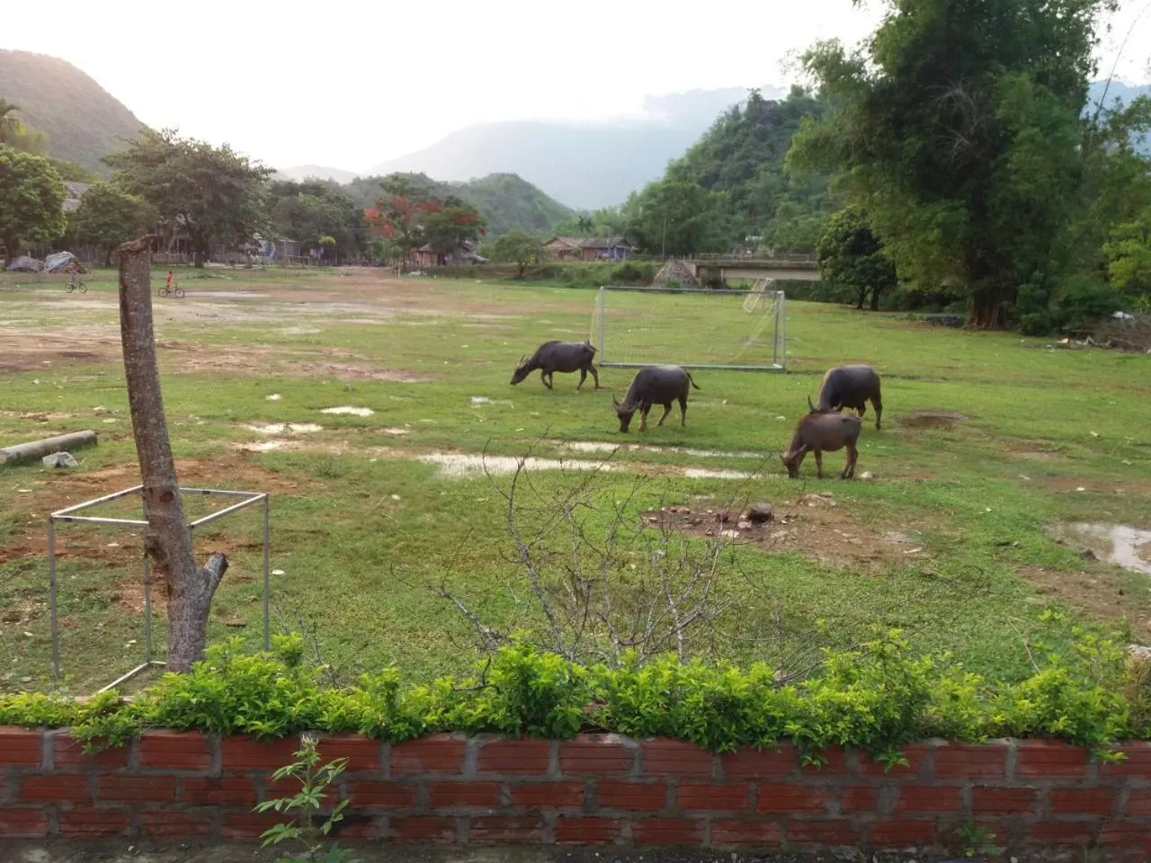 Mai Chau Xanh Bungalow